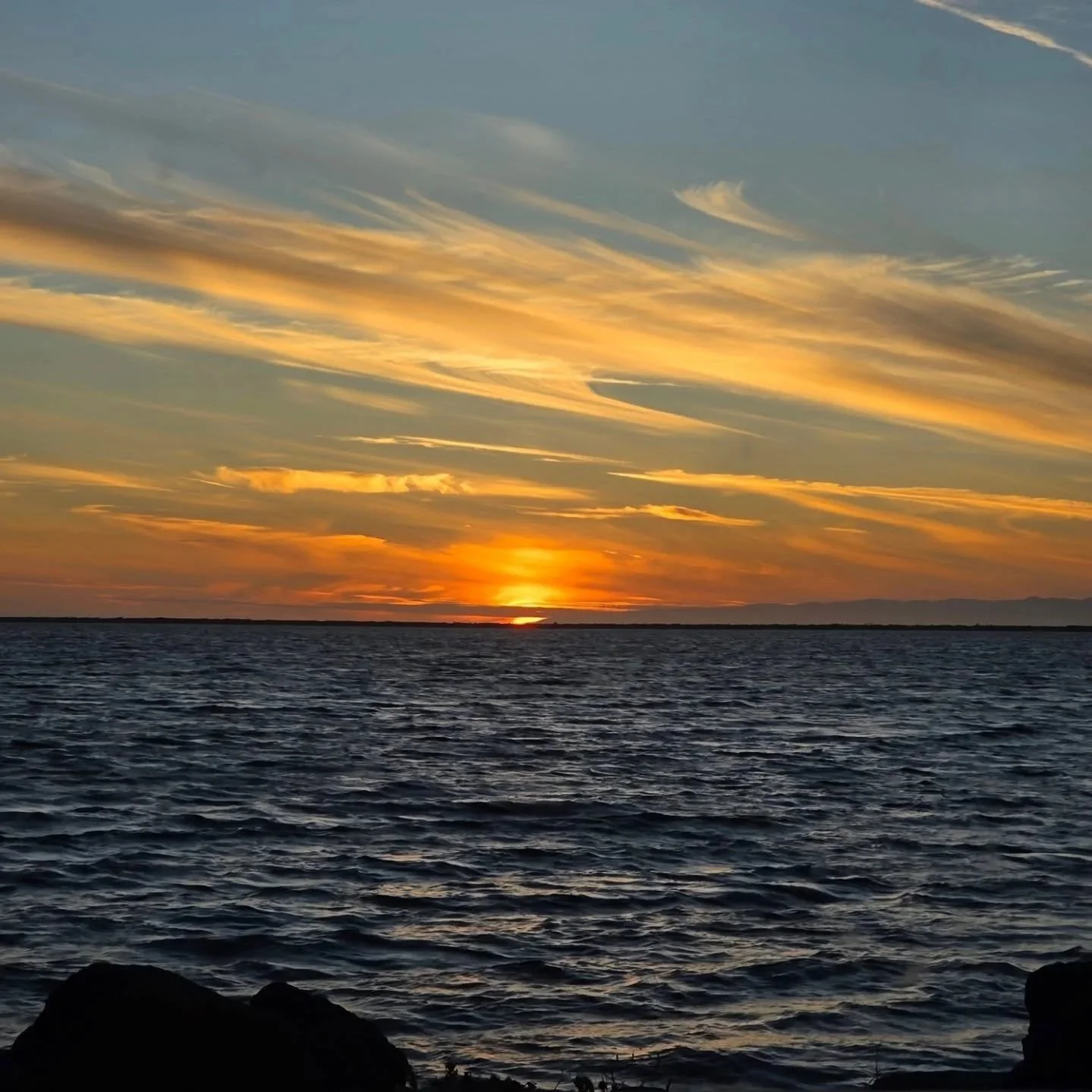 Sequim: Day-Trippin’ Hub of the Pacific Northwest