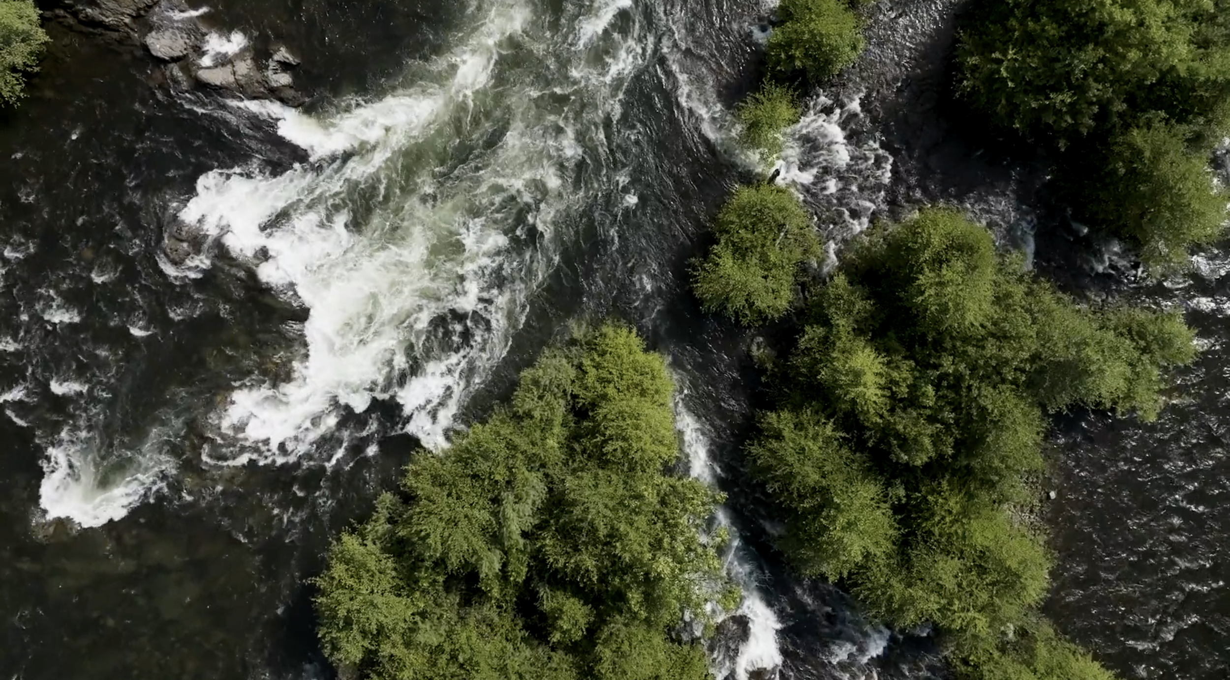 The Story of the American River