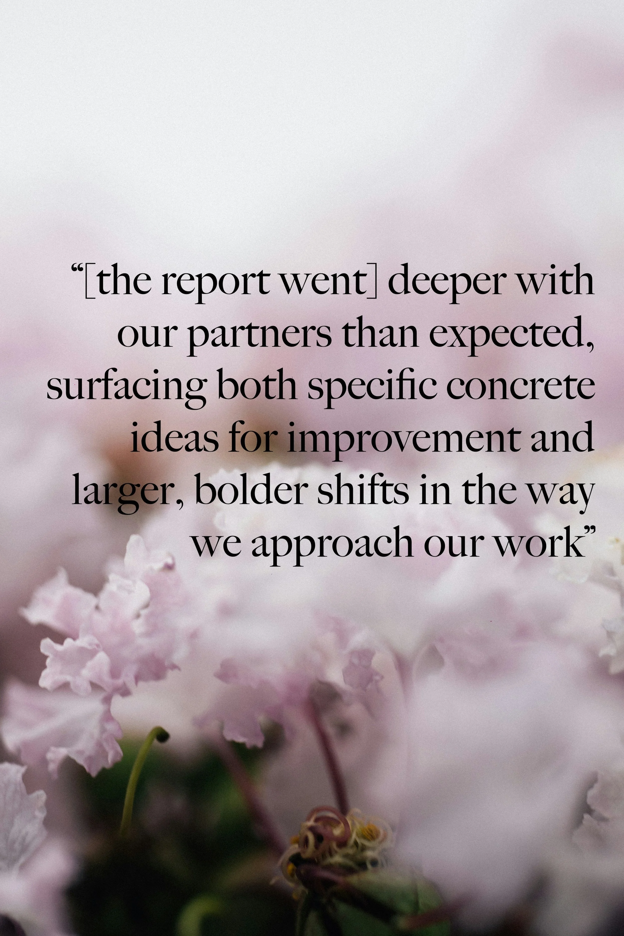 "The report went deeper with our partners than expected, surfacing both specific concrete ideas for improvement and larger bolder shifts in the way we approach our work."
