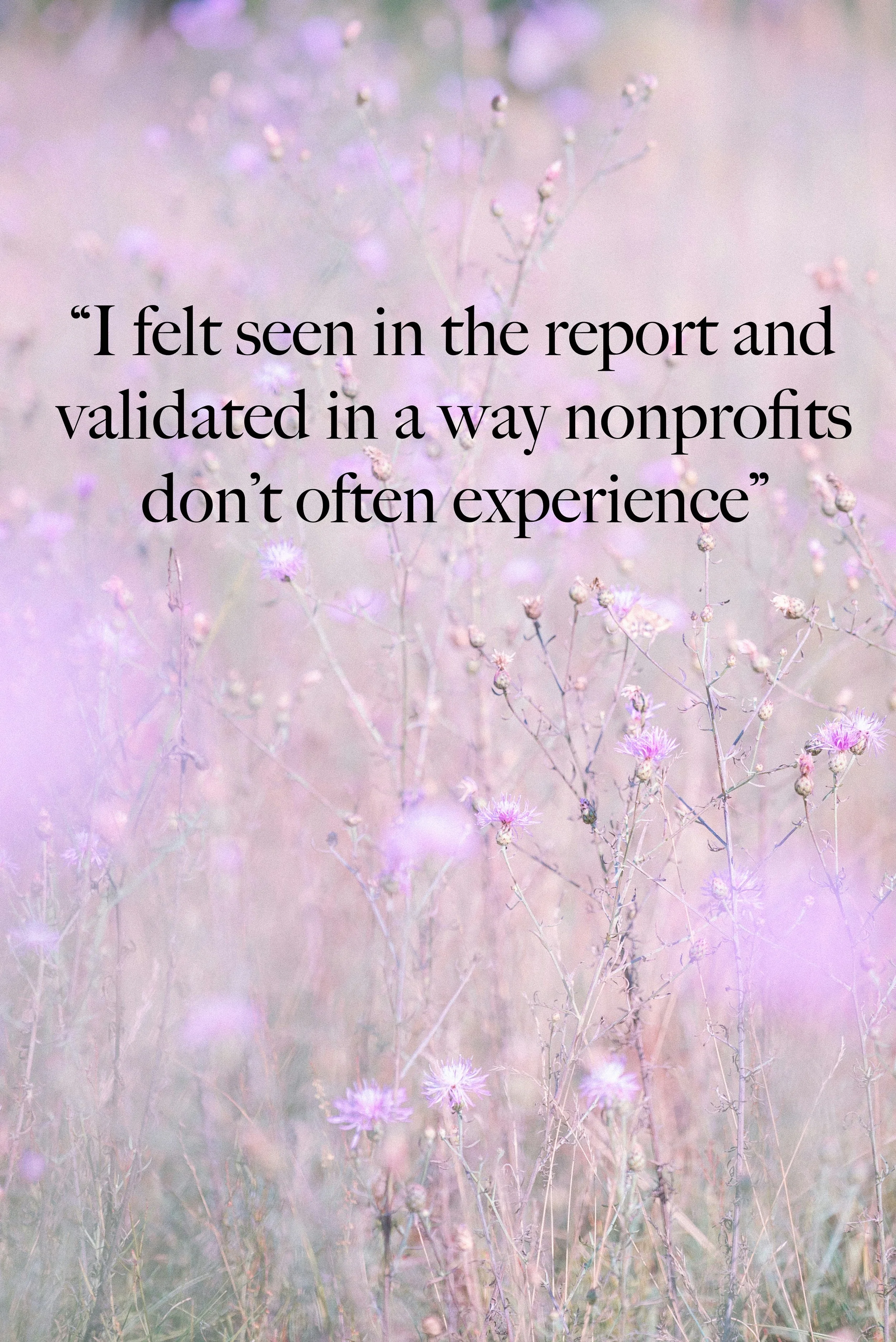 "I felt seen in the report and validated in a way nonprofits don't often experience."
