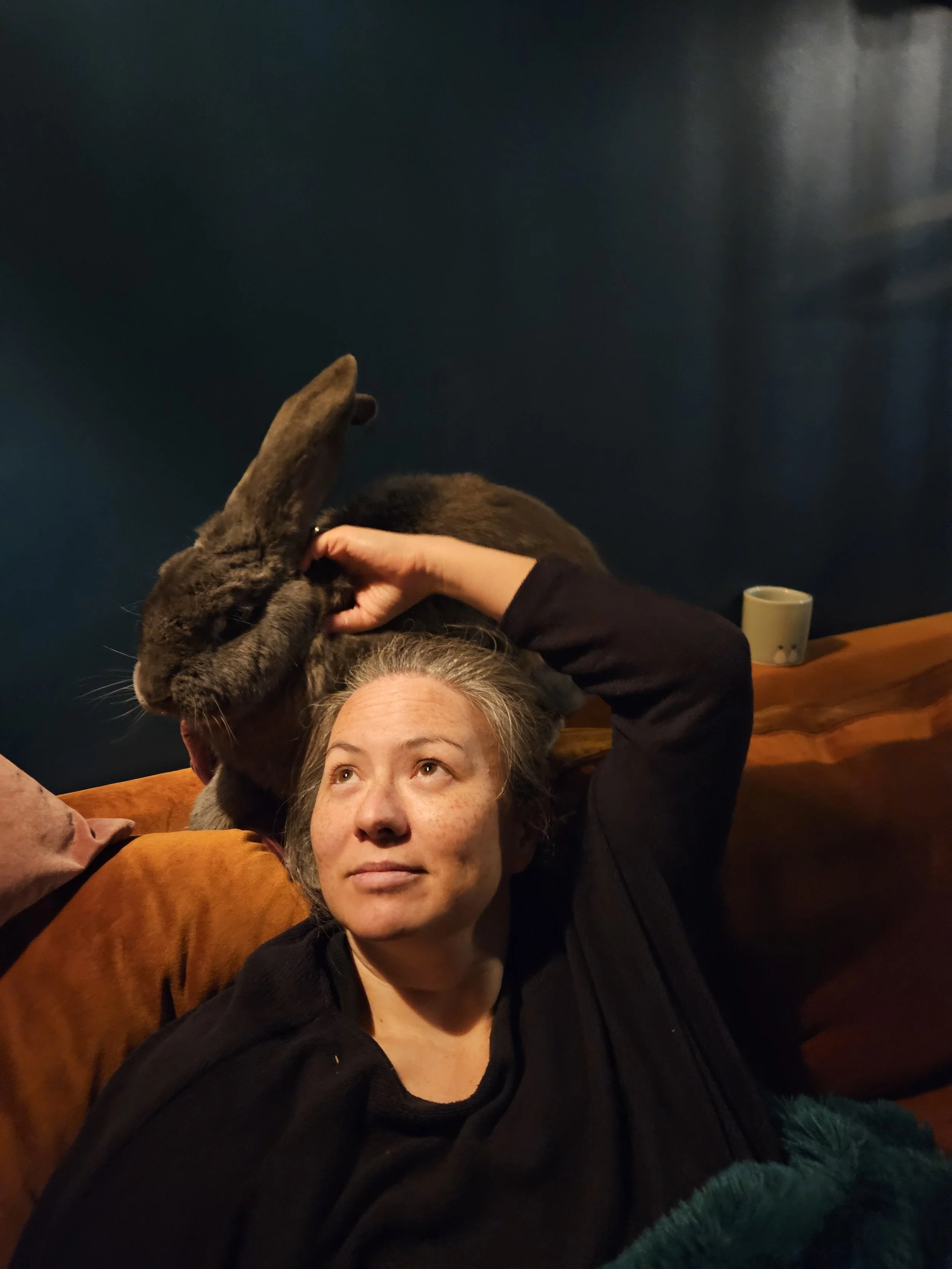 A woman sitting on an orange sofa, stroking a large grey rabbit that is sitting and resting above her on the sofa back.