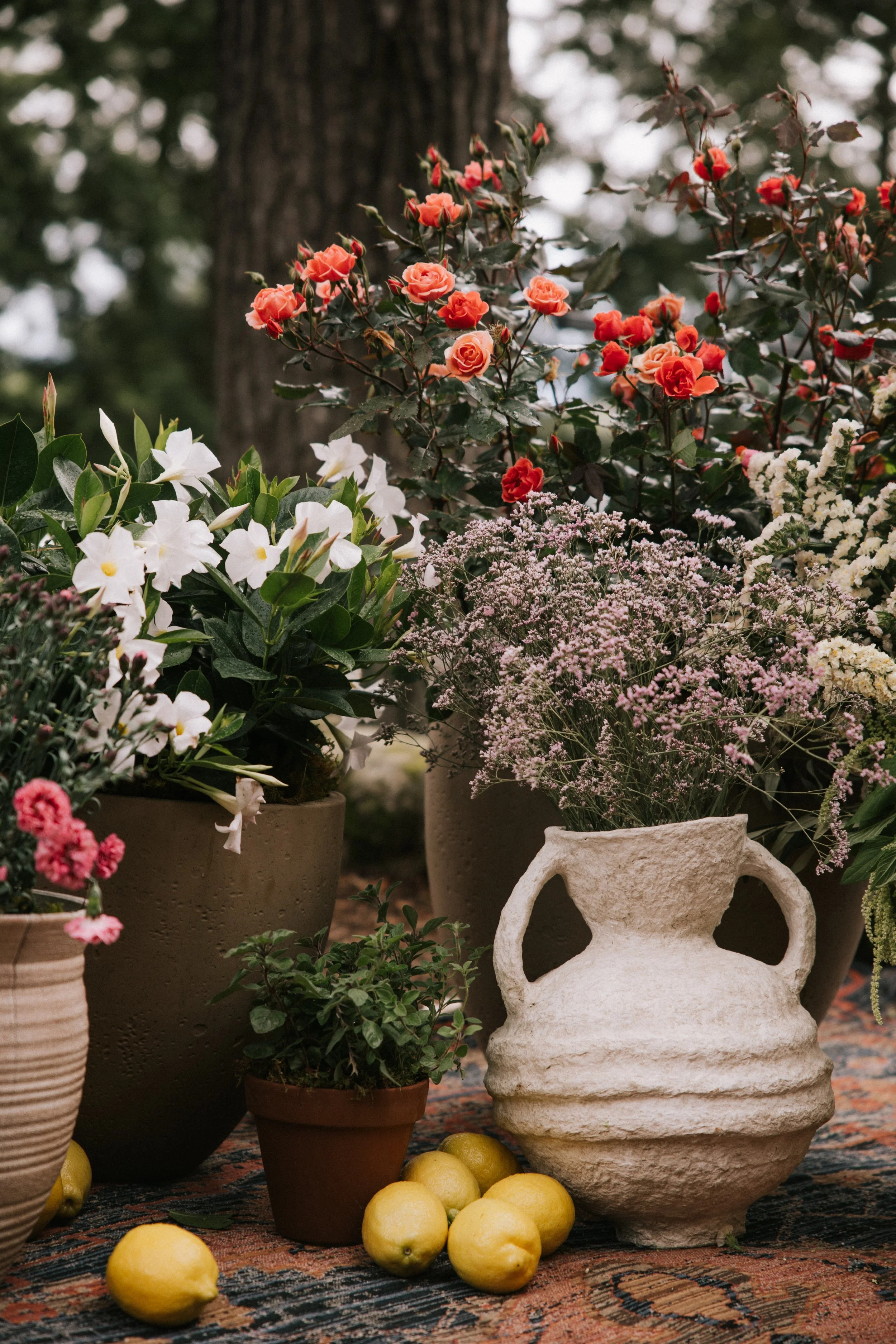 A FAMILY AFFAIR MIGIS LODGE (77).jpg