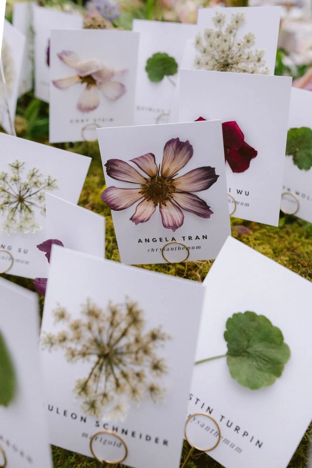 A FAMILY AFFAIR MAINE TERRAMOR WEDDING (2).jpg