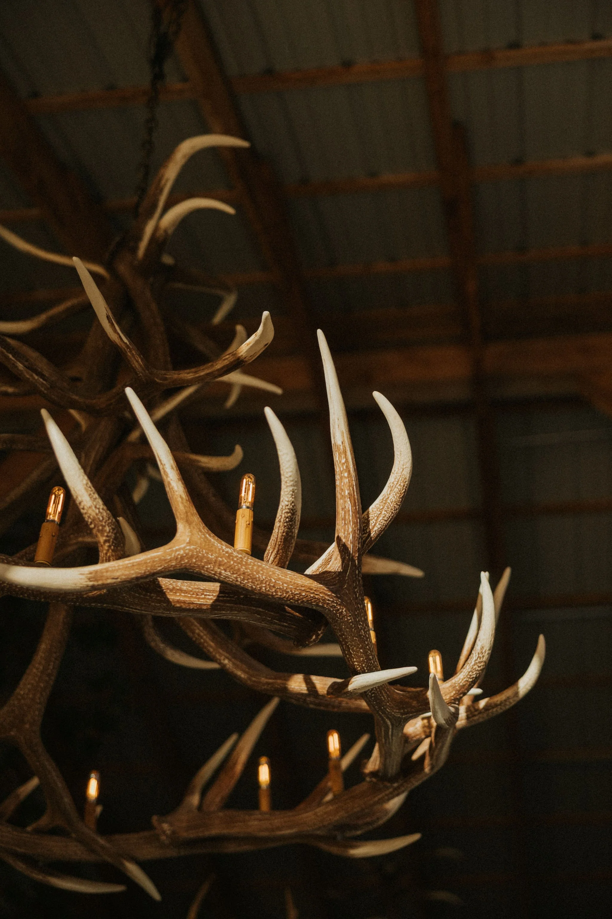 A FAMILY AFFAIR BETHEL MAINE (135).jpg