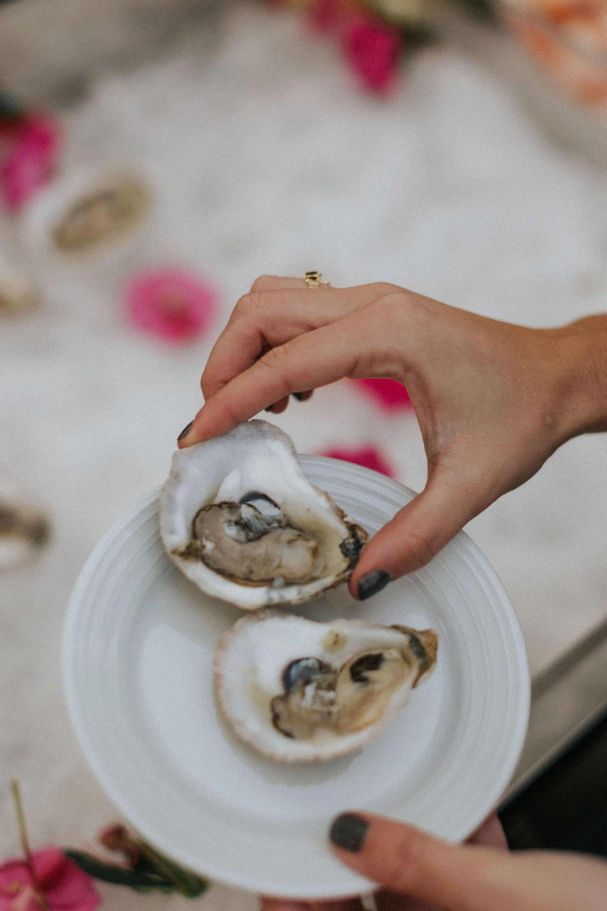 A FAMILY AFFAIR SAMOSET (80).jpg