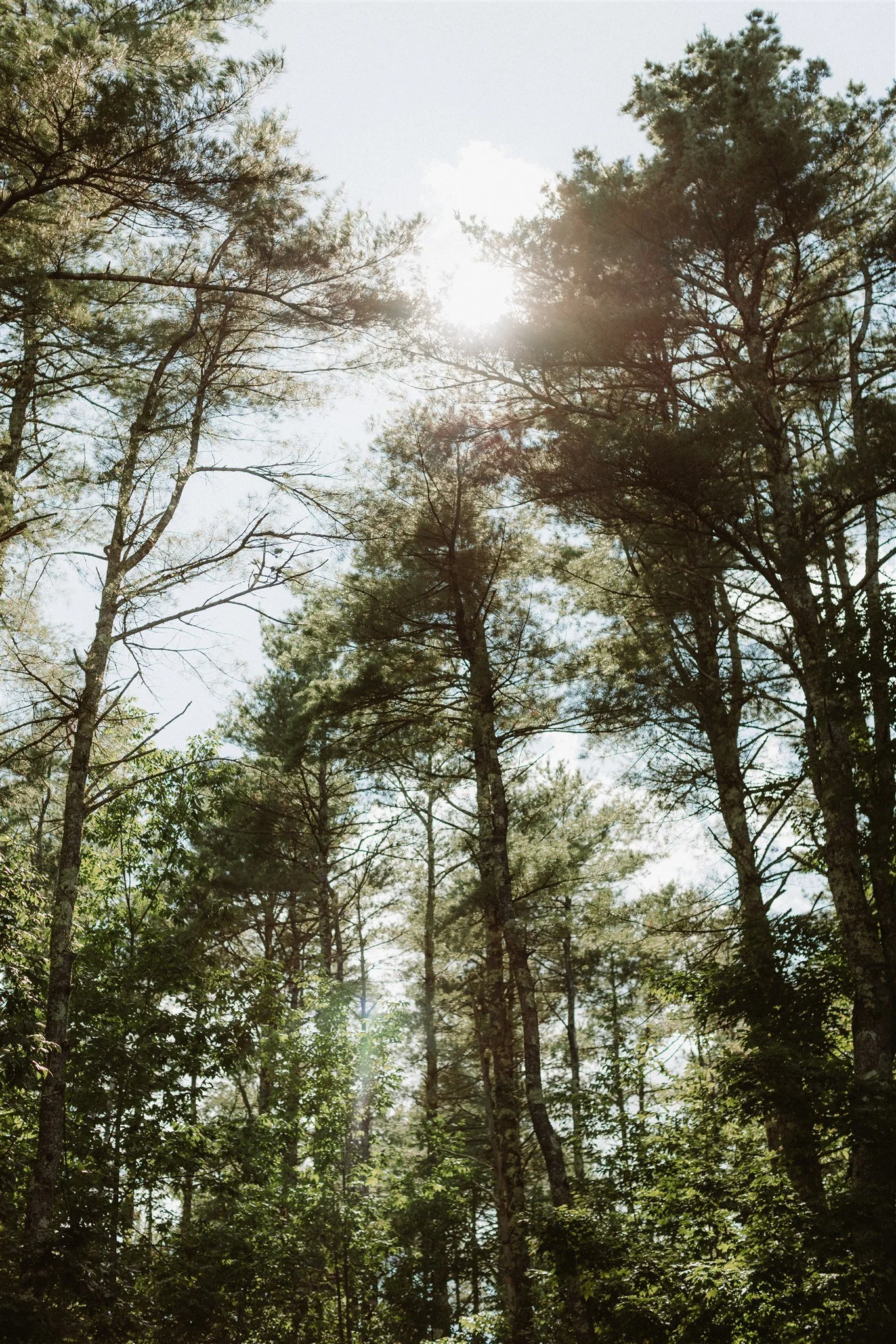 A Family Affair Flanagan Farm (39).jpg