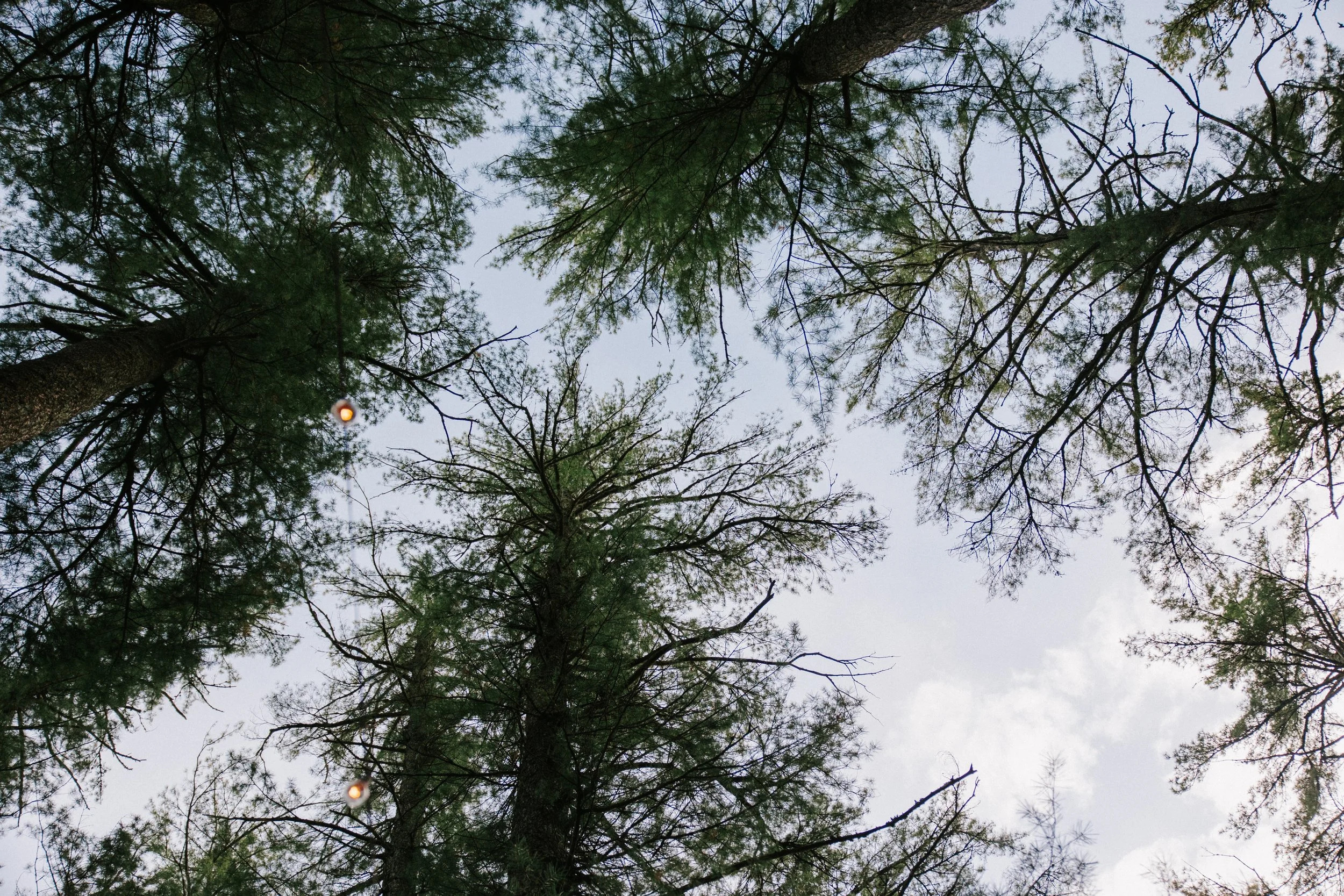 A FAMILY AFFAIR MIGIS LODGE (97).jpg