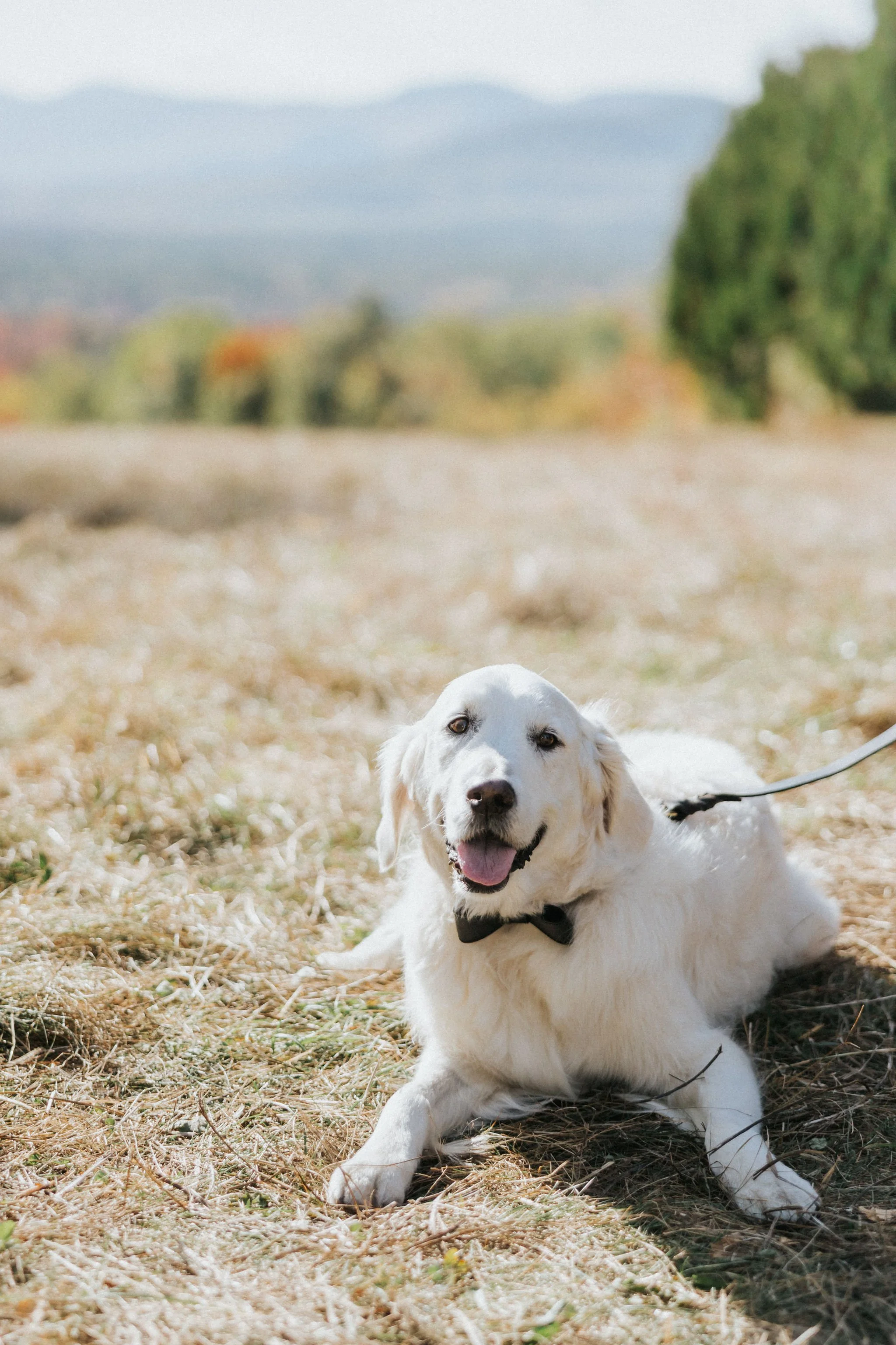 A FAMILY AFFAIR BETHEL MAINE (22).jpg