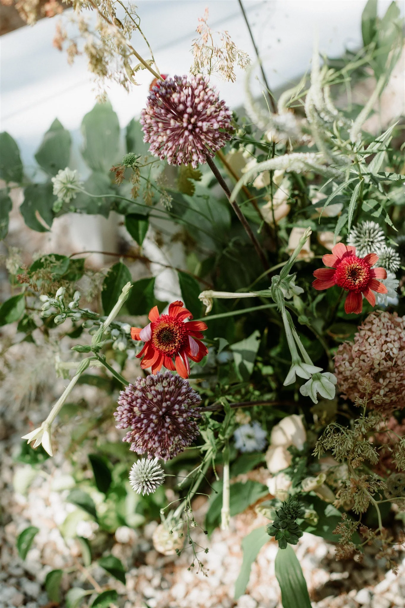 A Family Affair Flanagan Farm (41).jpg