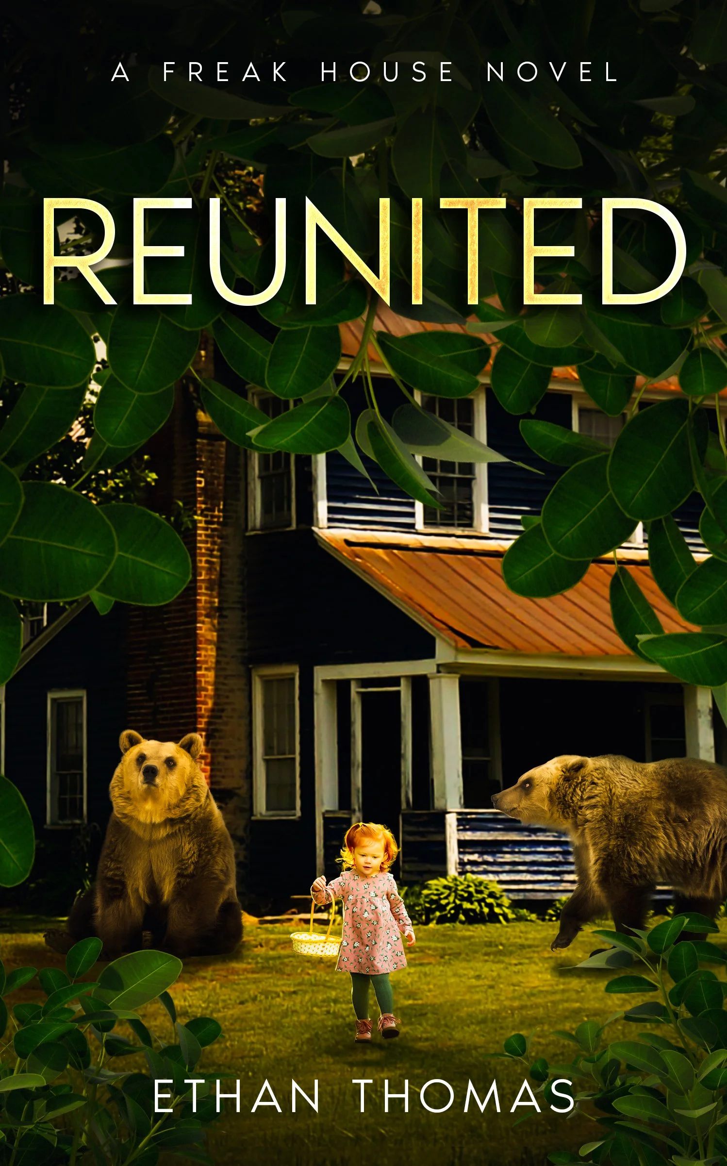 Reunited, A Freak House Novel