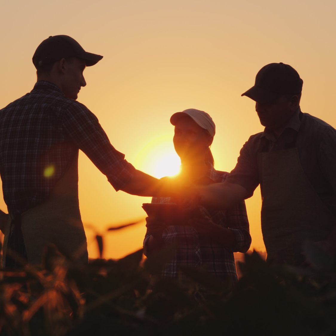 Participation Opportunities & Deal Finders