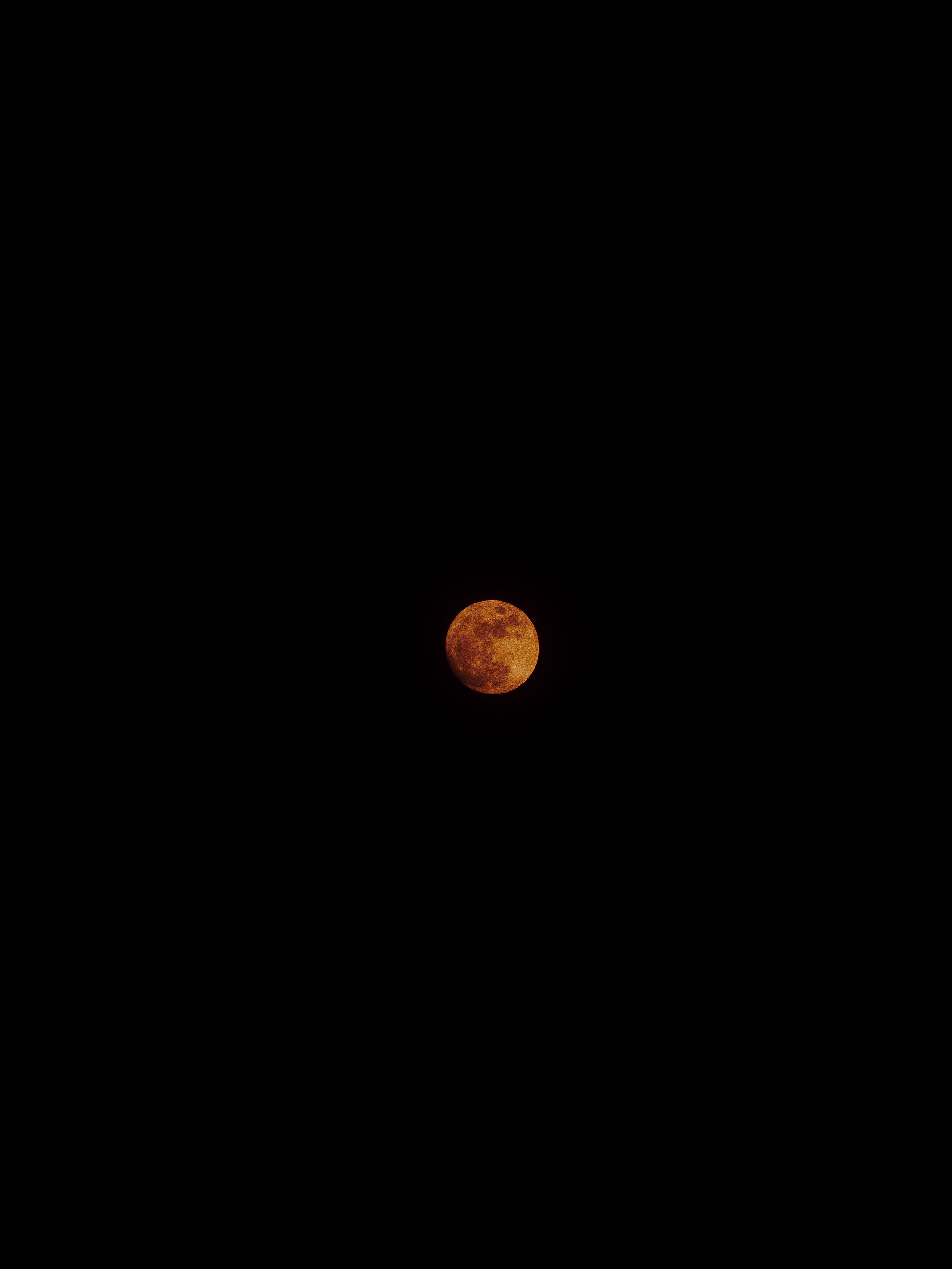 P4300994-2.jpg