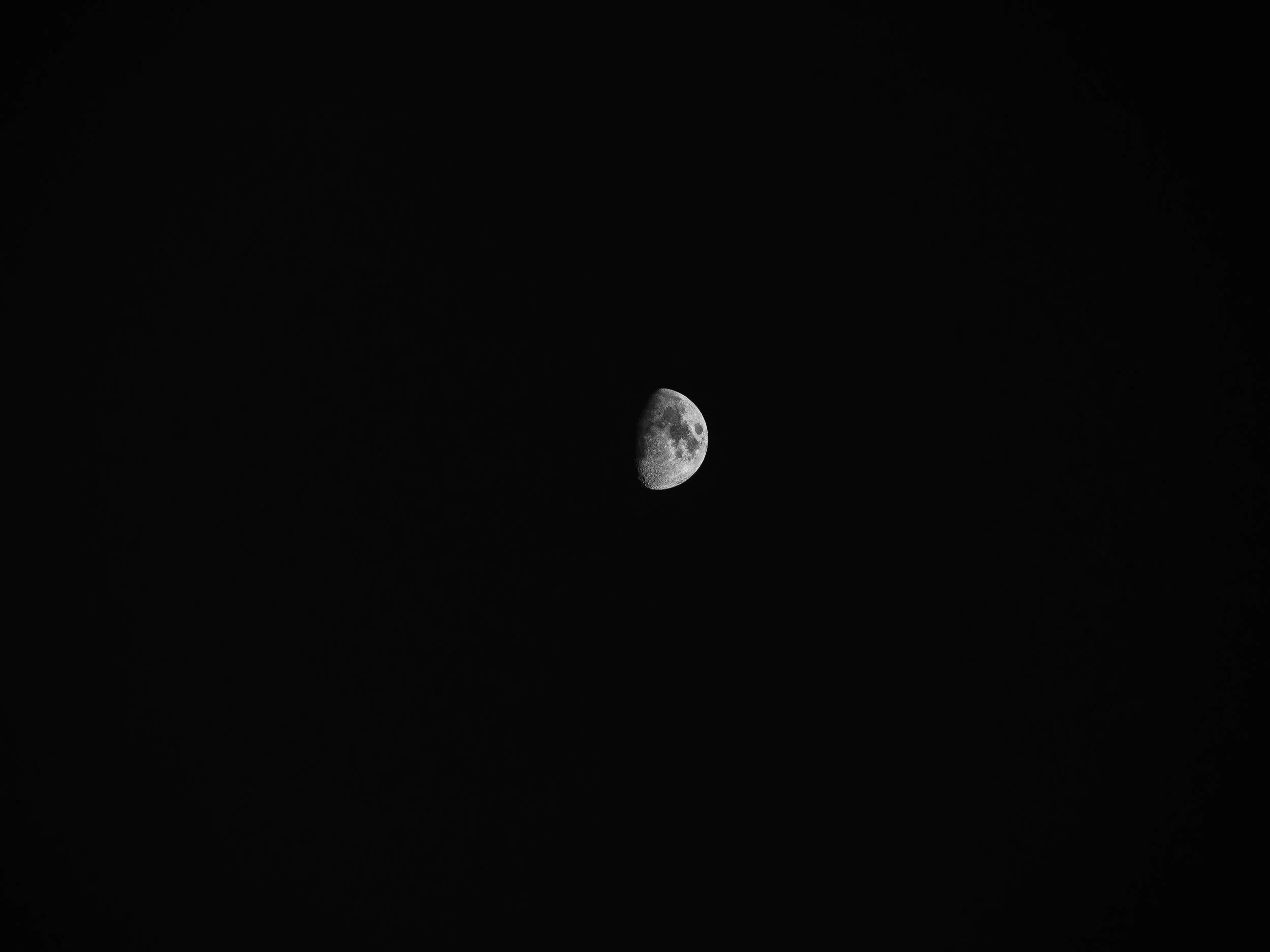 P3271064.jpg
