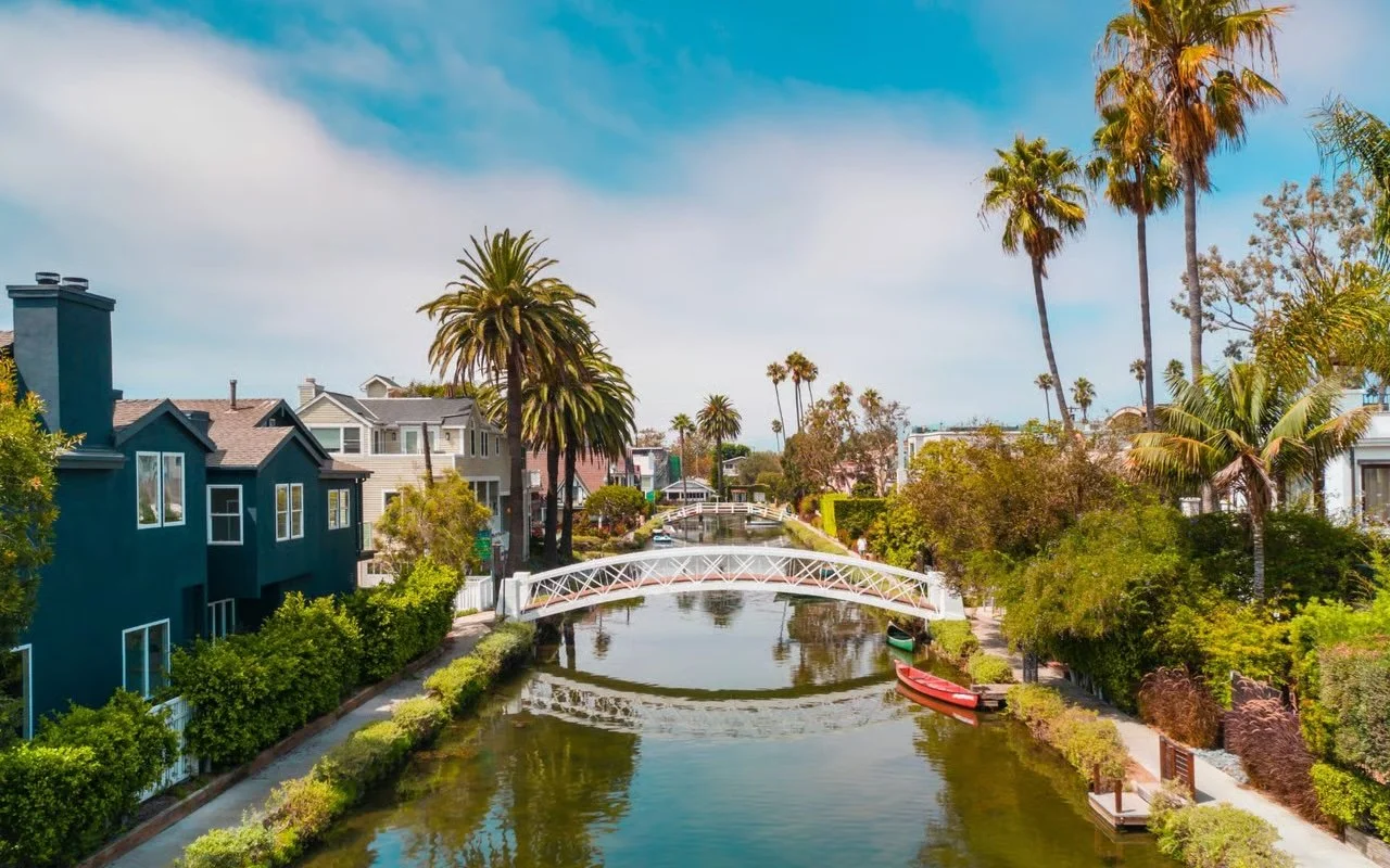 Venice Beach real estate area overview