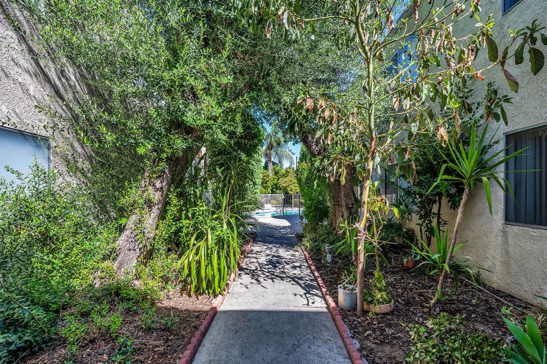 18404-collins-st-tarzana-walkway.jpg
