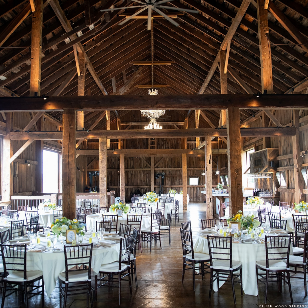 blush wood studios (1).png