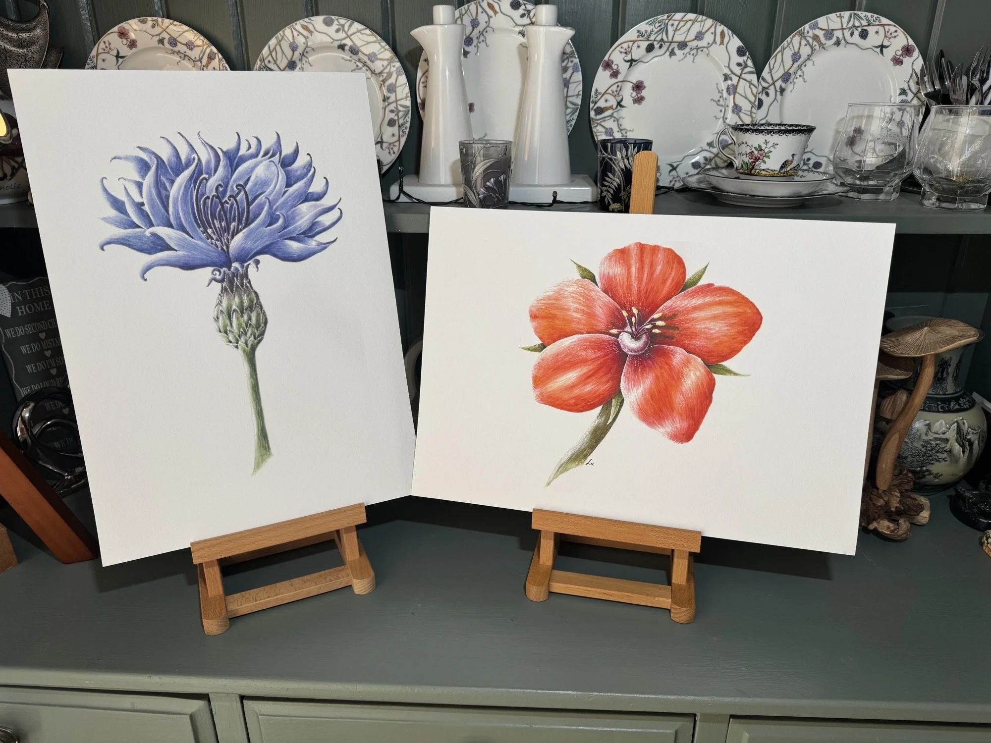 Two botanical art prints of flowers displayed on small wooden easels, one featuring a blue flower and the other a red-orange flower, on a light-colored surface with kitchenware and decorative items in the background.