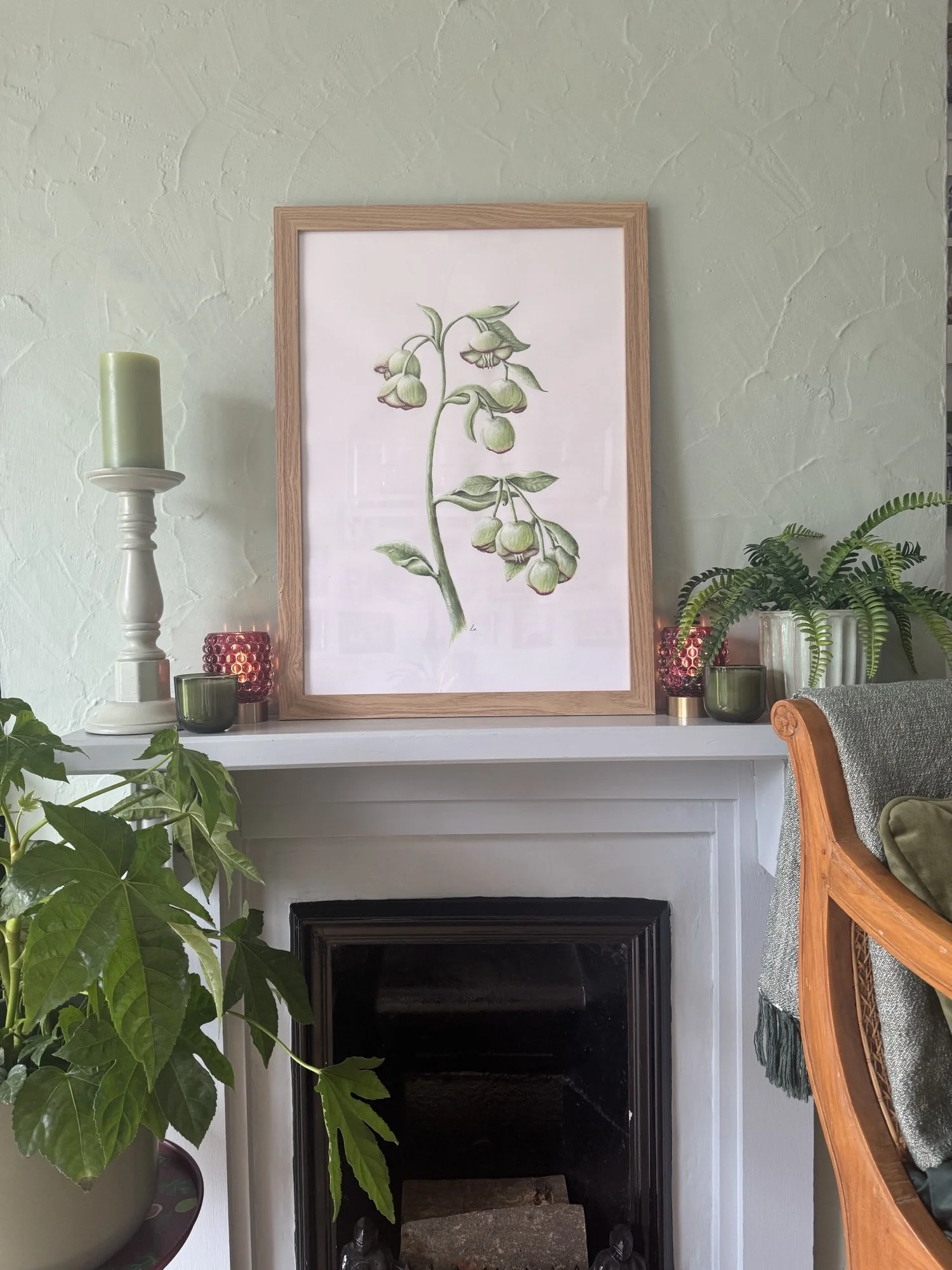 Wild Hellabore watercolour painting | Sussex Wildflower Botanical Art