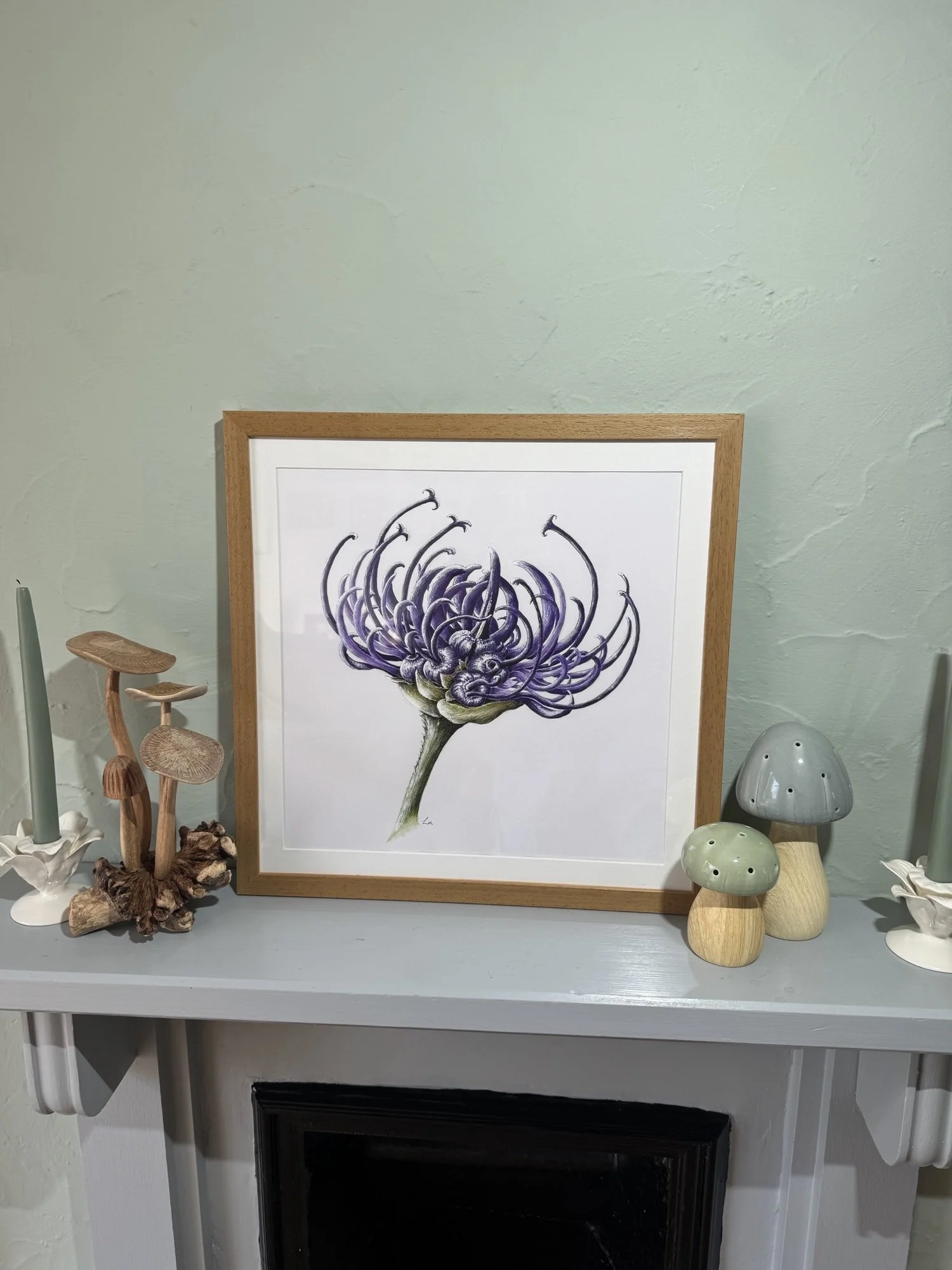 Round Headed Rampion watercolour painting | Sussex Wildflower Botanical Art