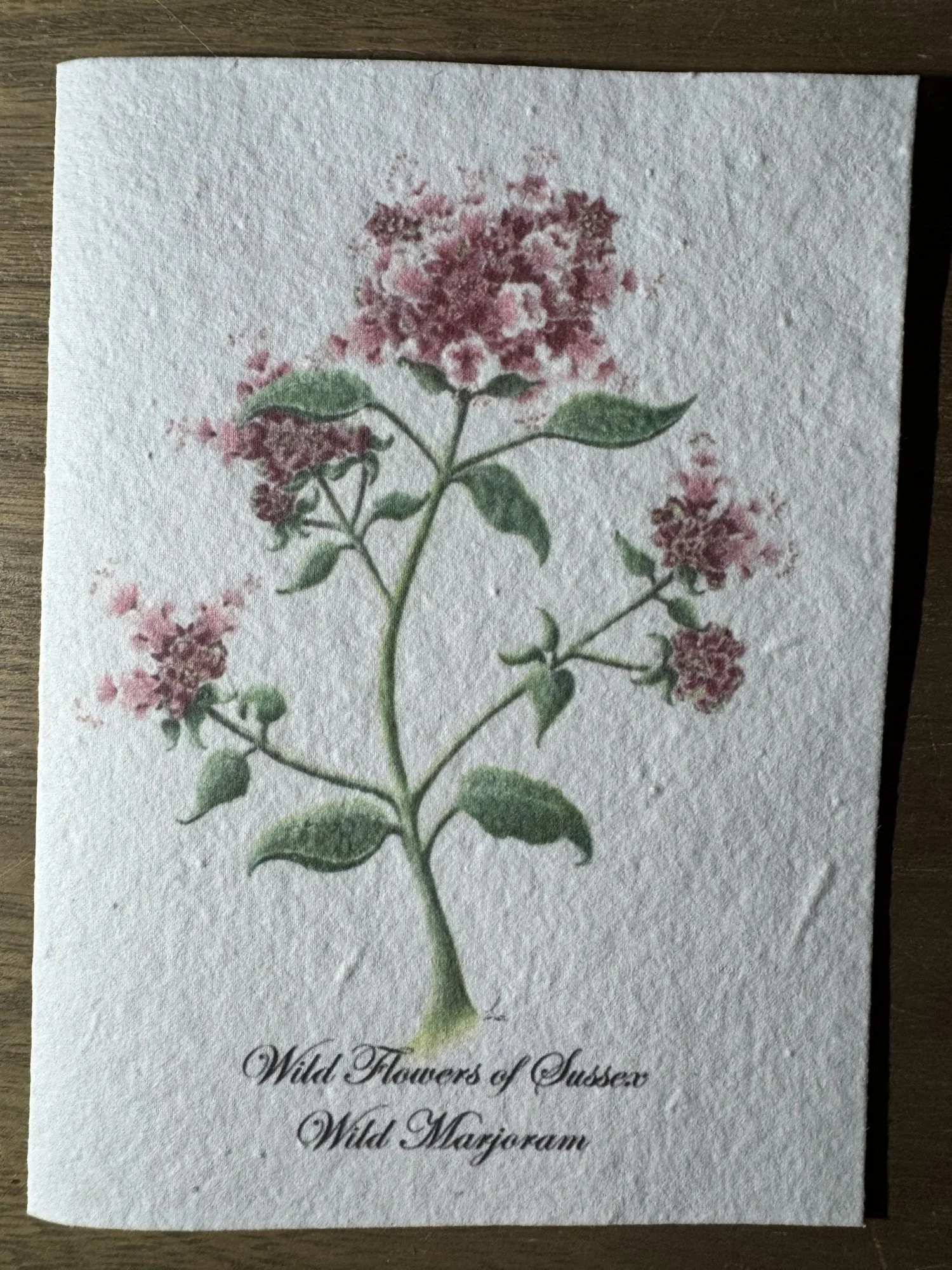 Wild Majoram 5x7" Seeded Greetings Card