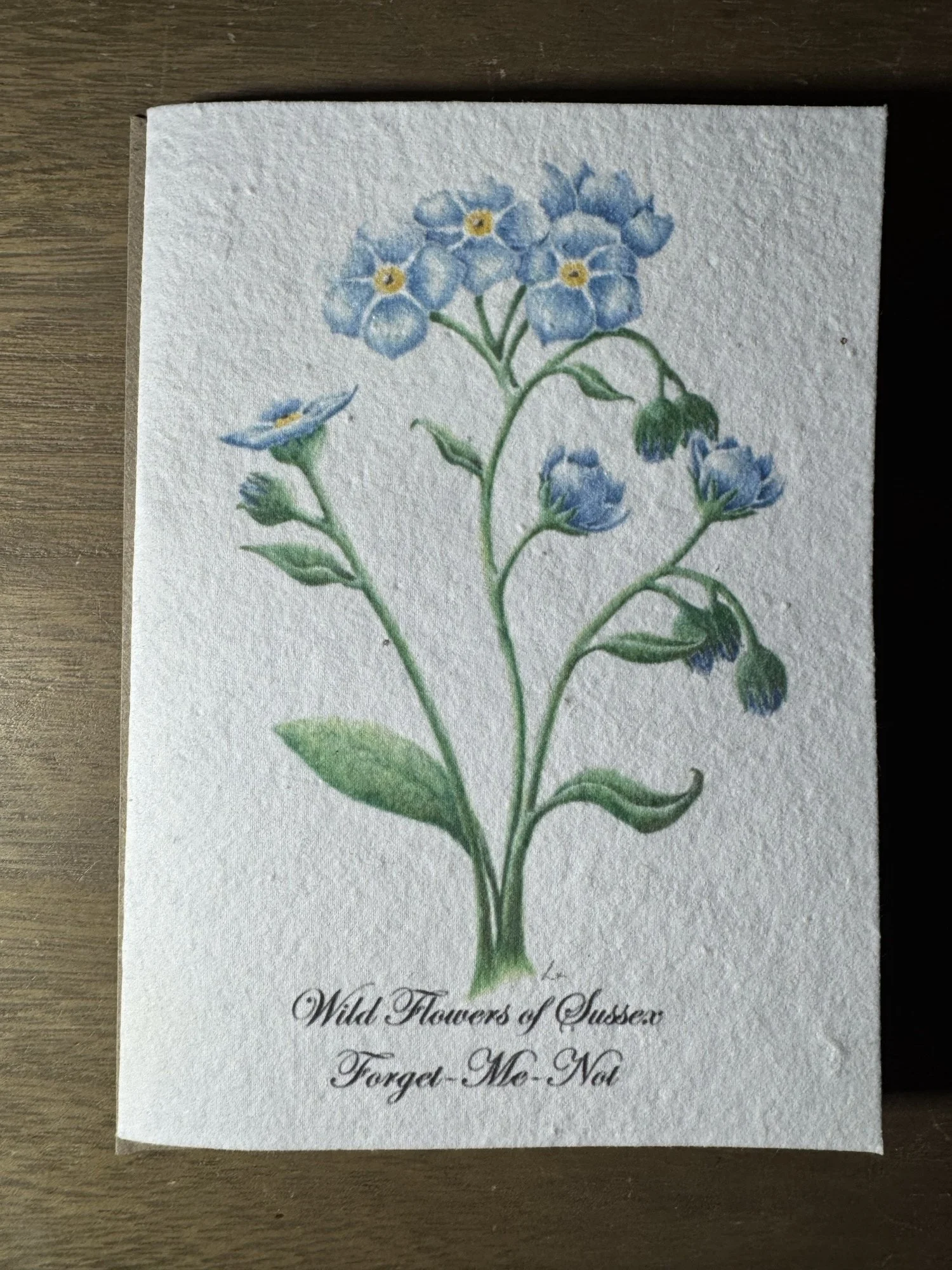 Forget-me-not 5x7" Seeded Greetings Card