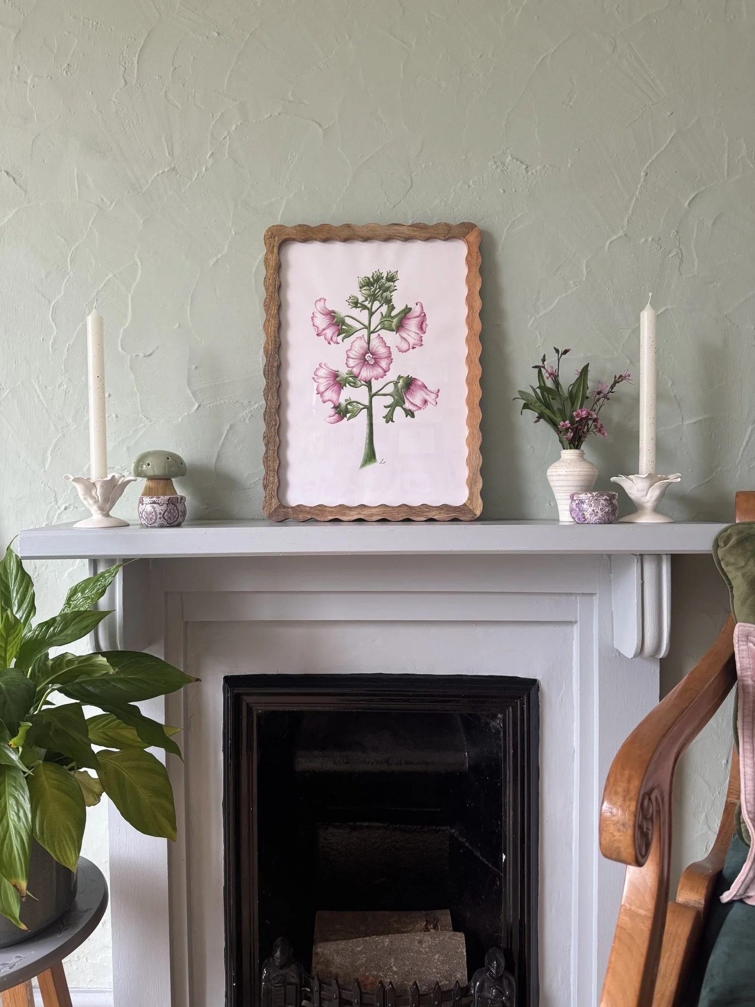 Musk Mallow watercolour painting | Sussex Wildflower Botanical Art