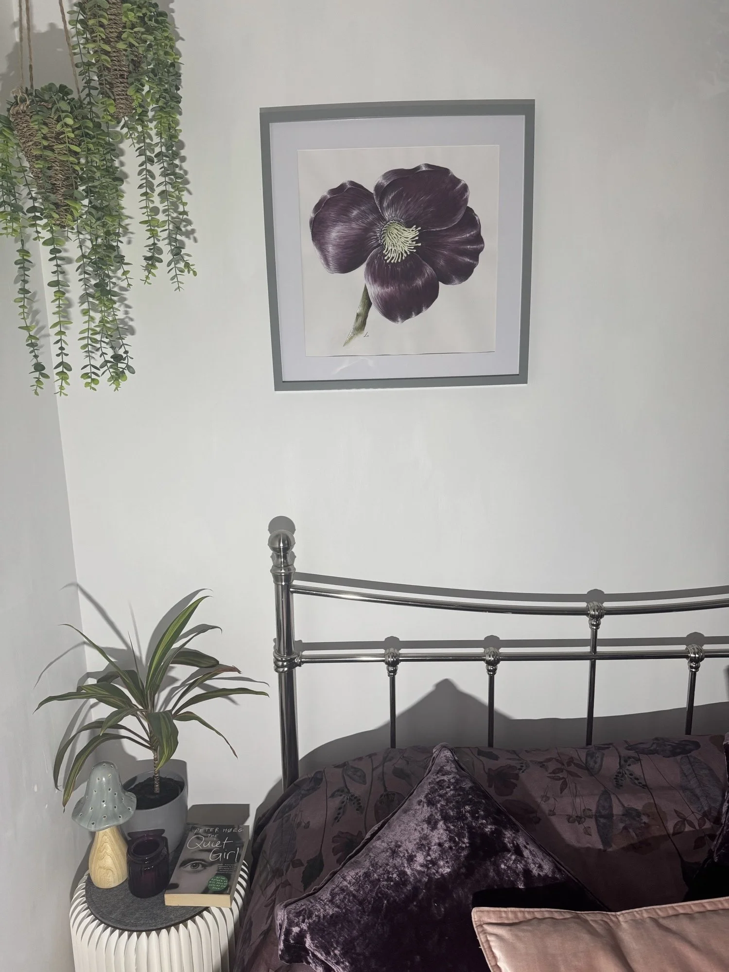 Christmas Hellabore watercolour painting | Sussex Wildflower Botanical Art