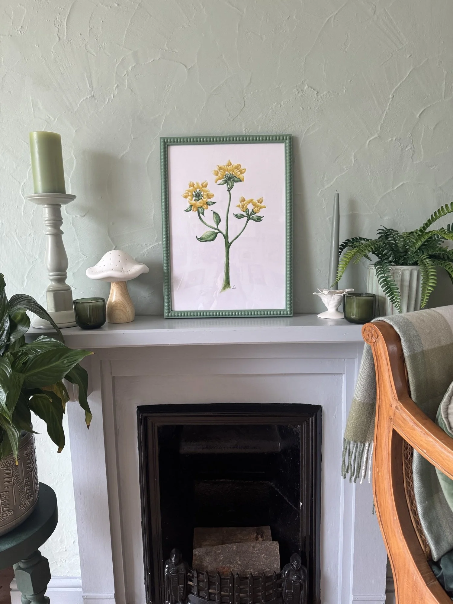 Birds-foot Trefoil (Lotus Corniculatus) A3 Original Watercolour