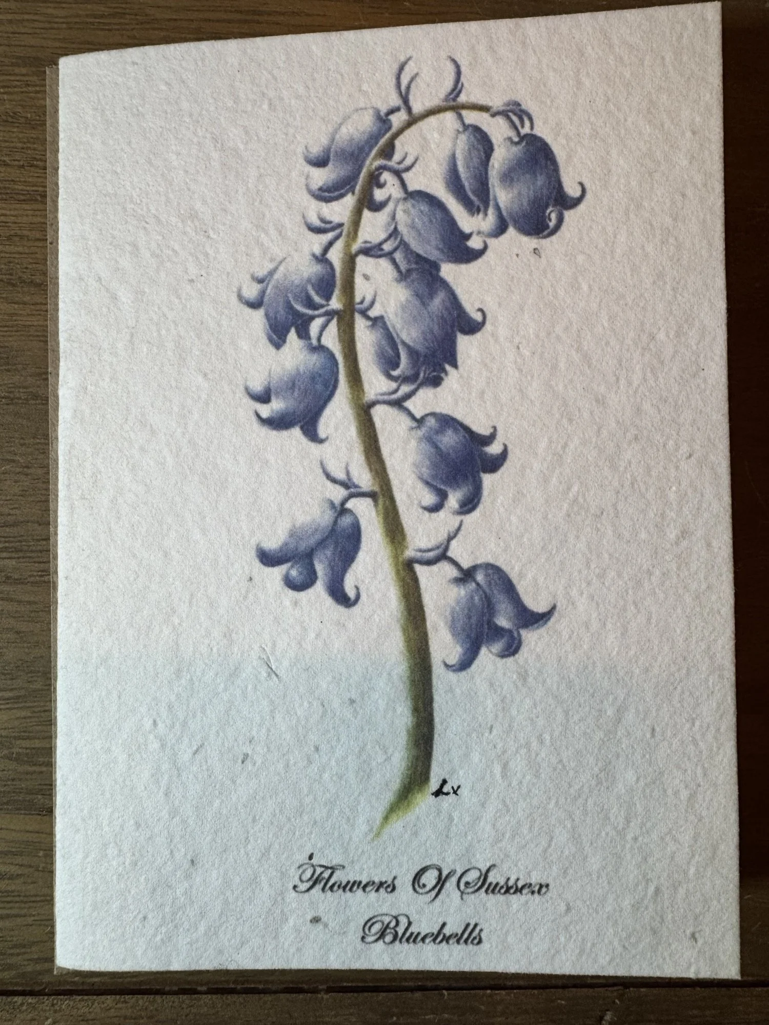 Bluebell 5x7" Seeded Greetings Card