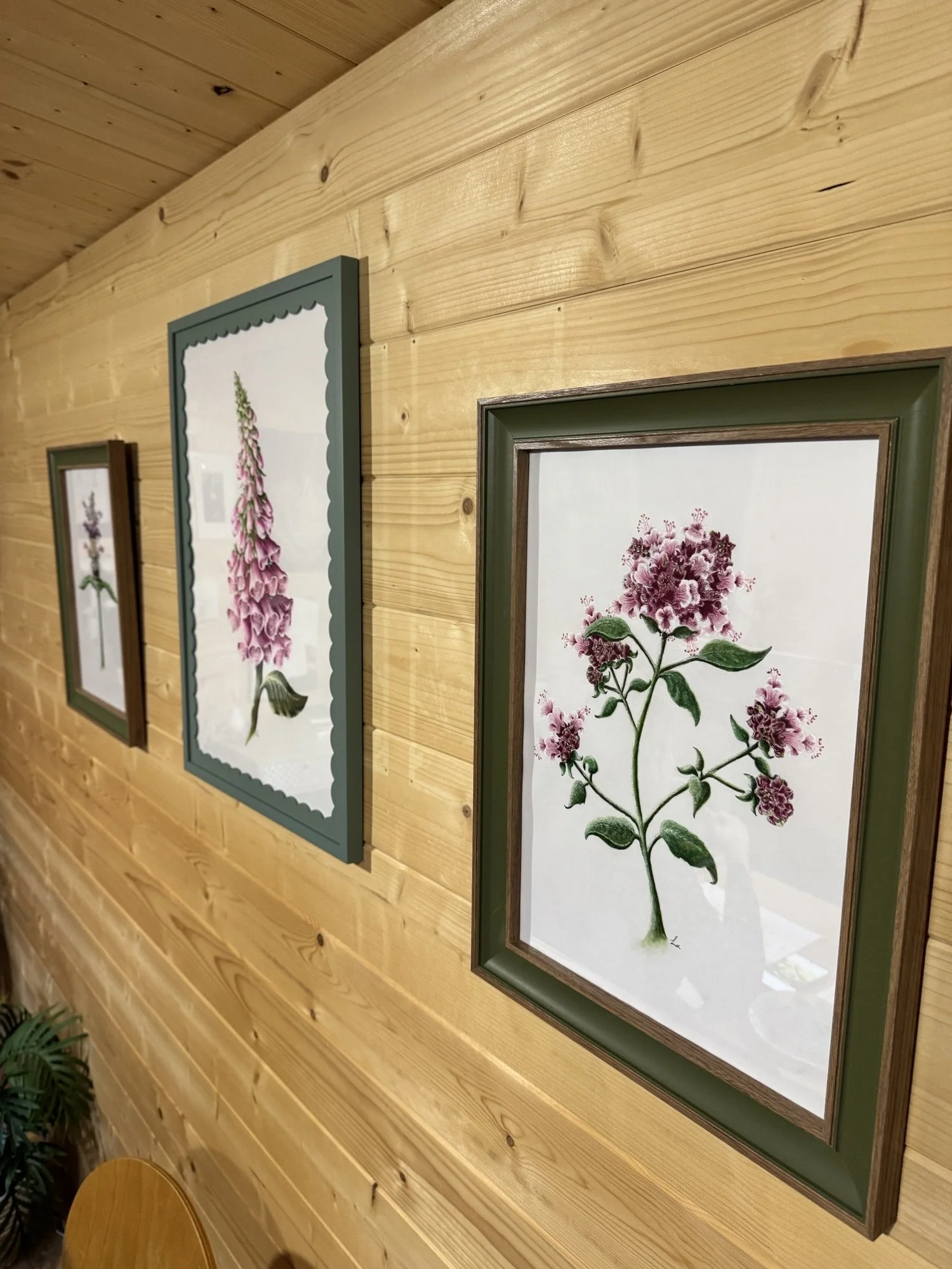 Three framed vintage botanical prints of pink flowers and green leaves hung on a wooden wall.
