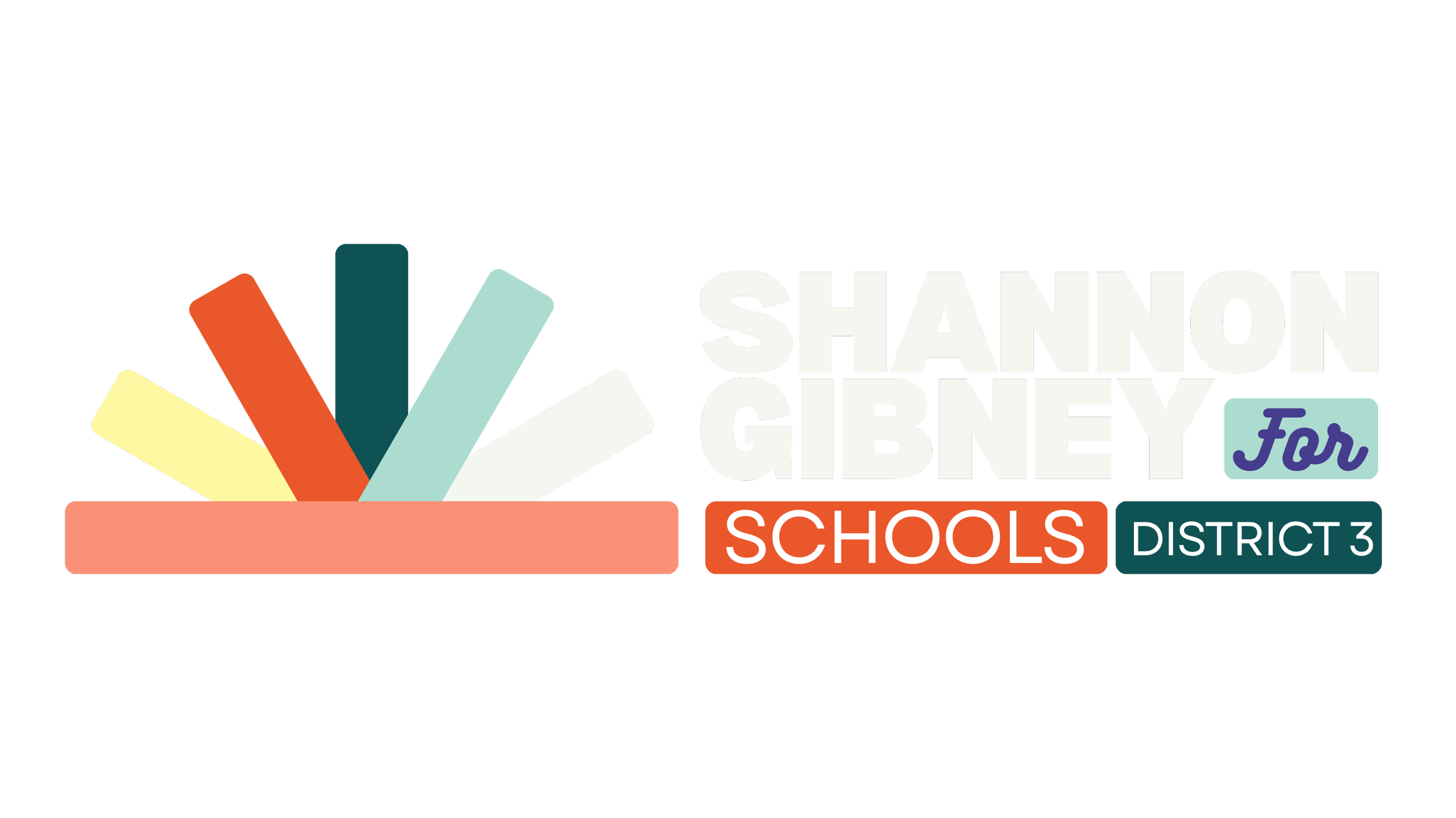 Graphic for Shannon Gibney for Schools, District 3, featuring colorful books in a basket.