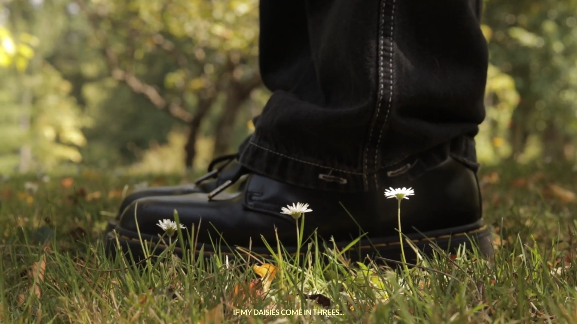 Close-up of a black boot standing on grass with white daisies growing around it, in a forest setting with blurred trees in the background.