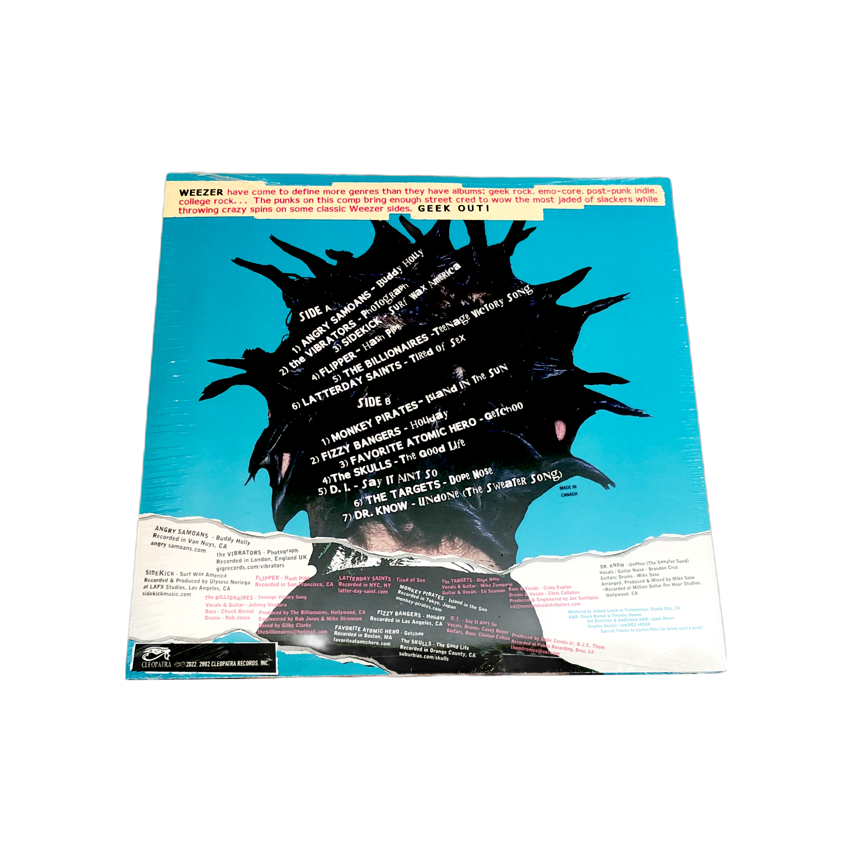 A Punk Tribute to Weezer Vinyl - Back.PNG