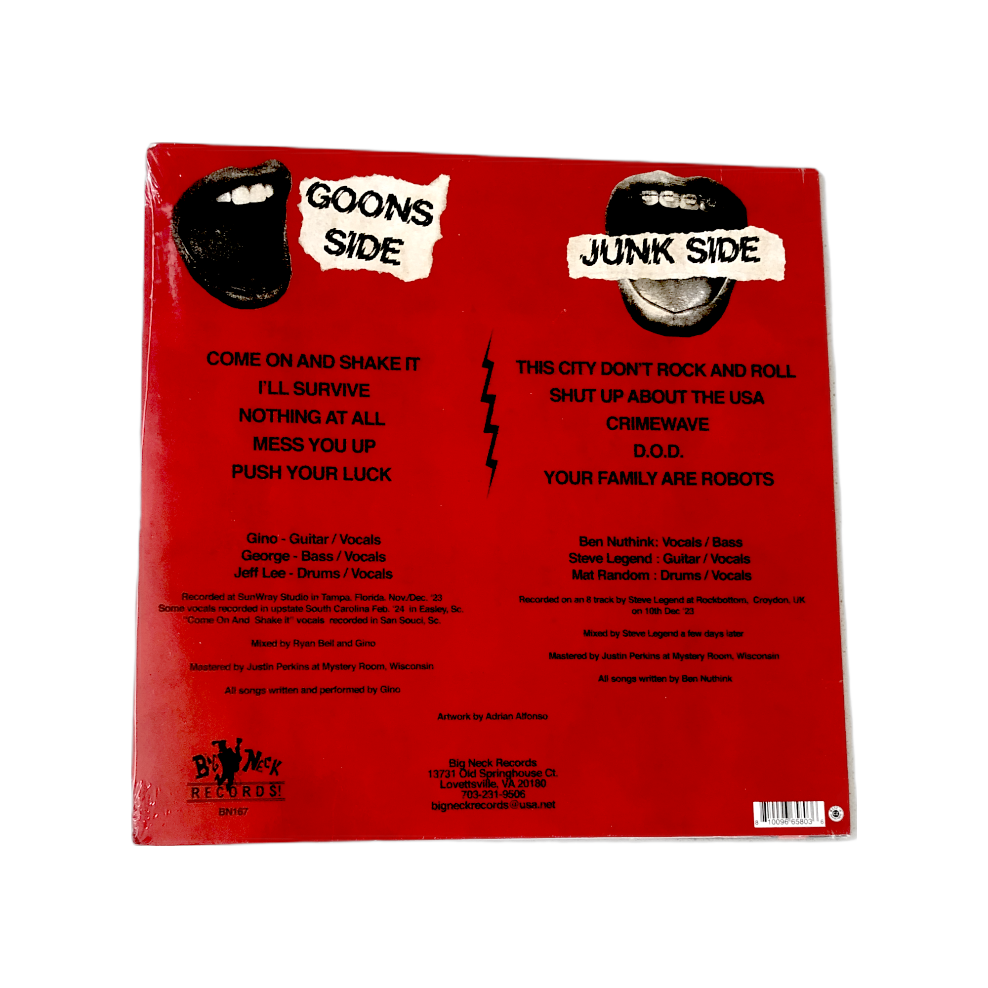 Talk Trash with Gino Goons Chinese Junk - Vinyl Back.PNG