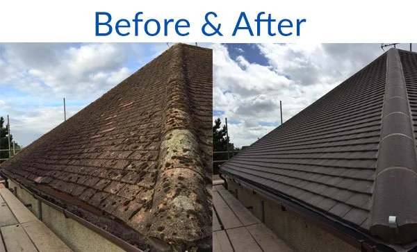 Roof Replacement