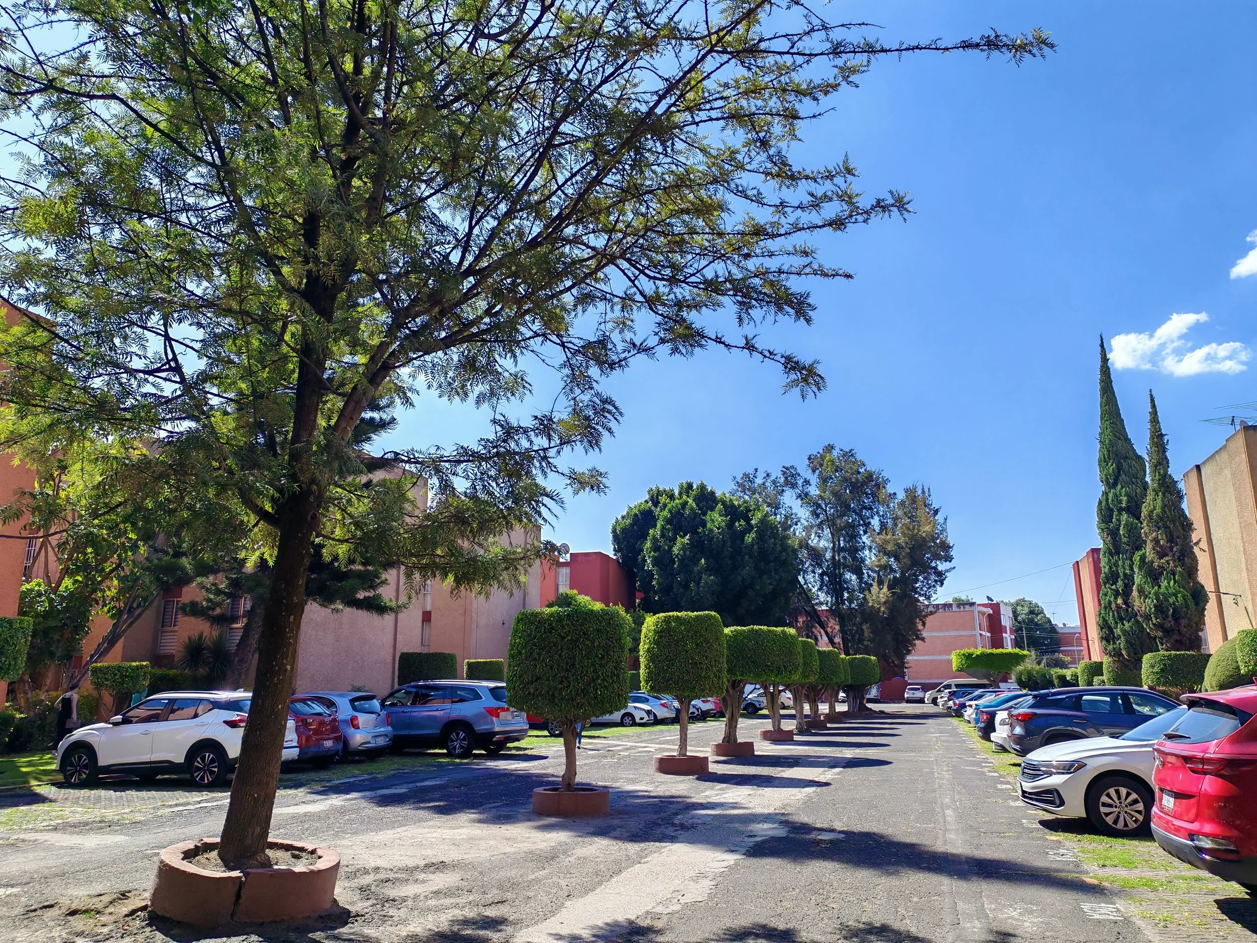 BRUJAS / GRANJAS COAPA / CDMX $16,200