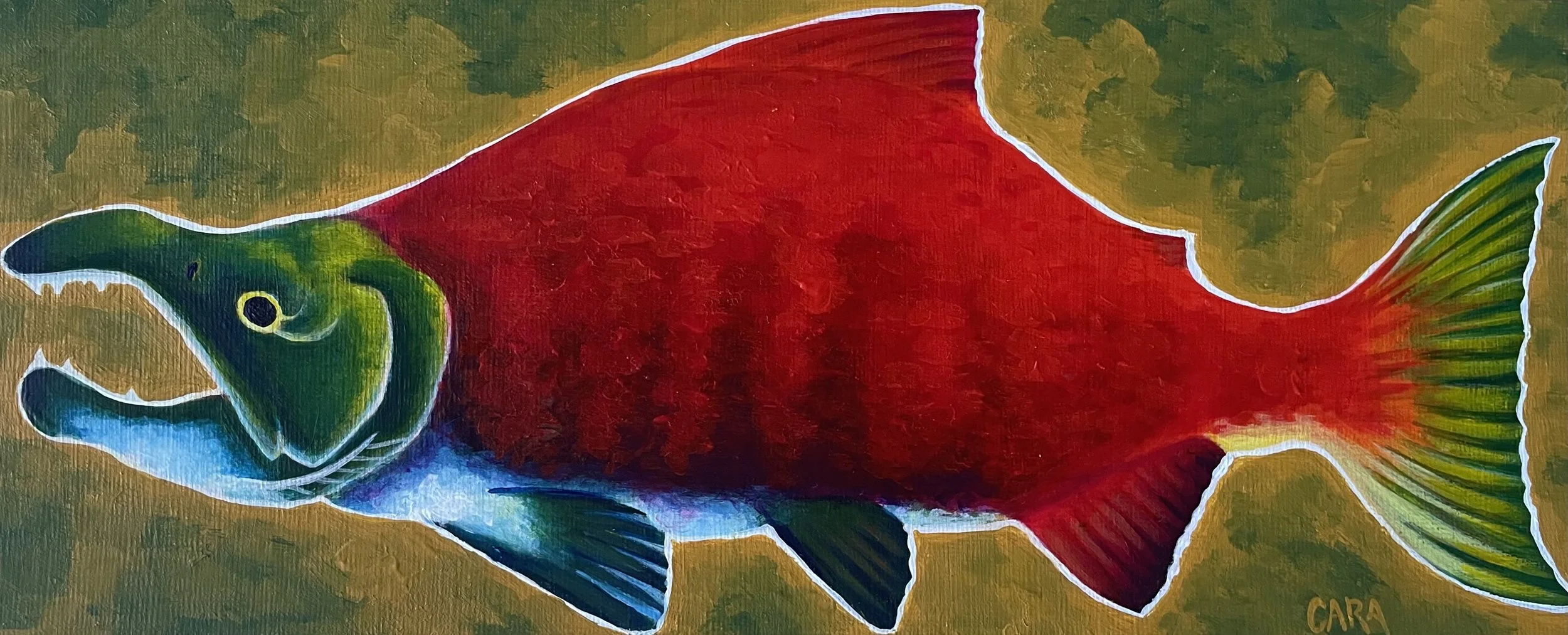 Sockeye Study | 2026 | 5 x 12 inches | Acrylic on Canvas