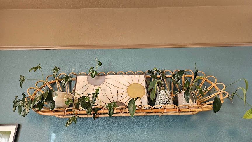 A rattan wall shelf holding potted plants, decorative plates, and artwork on a blue wall.