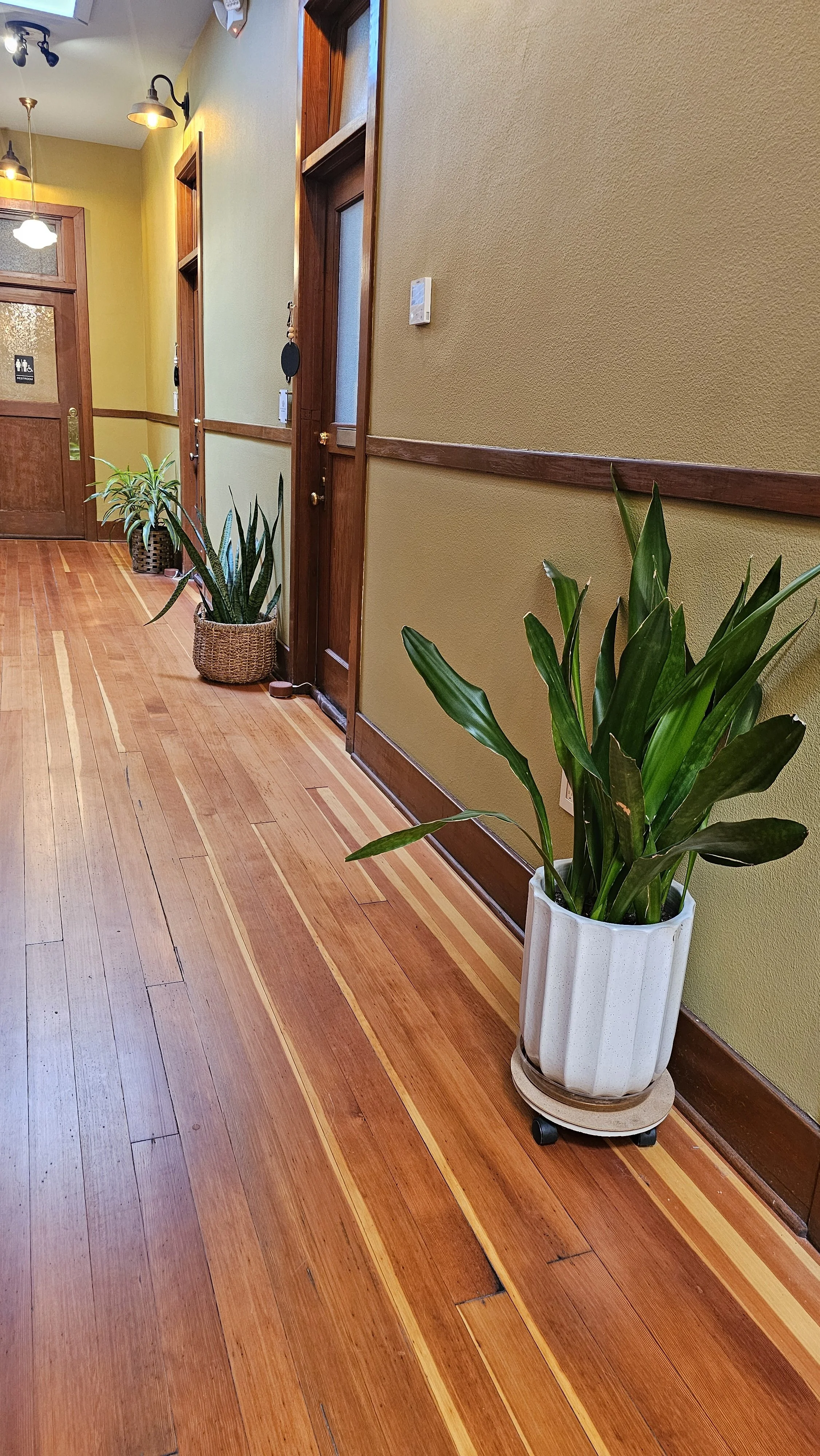 Interior hallway with wooden flooring, light green walls, wooden door frames, potted plants, and wall-mounted lights.