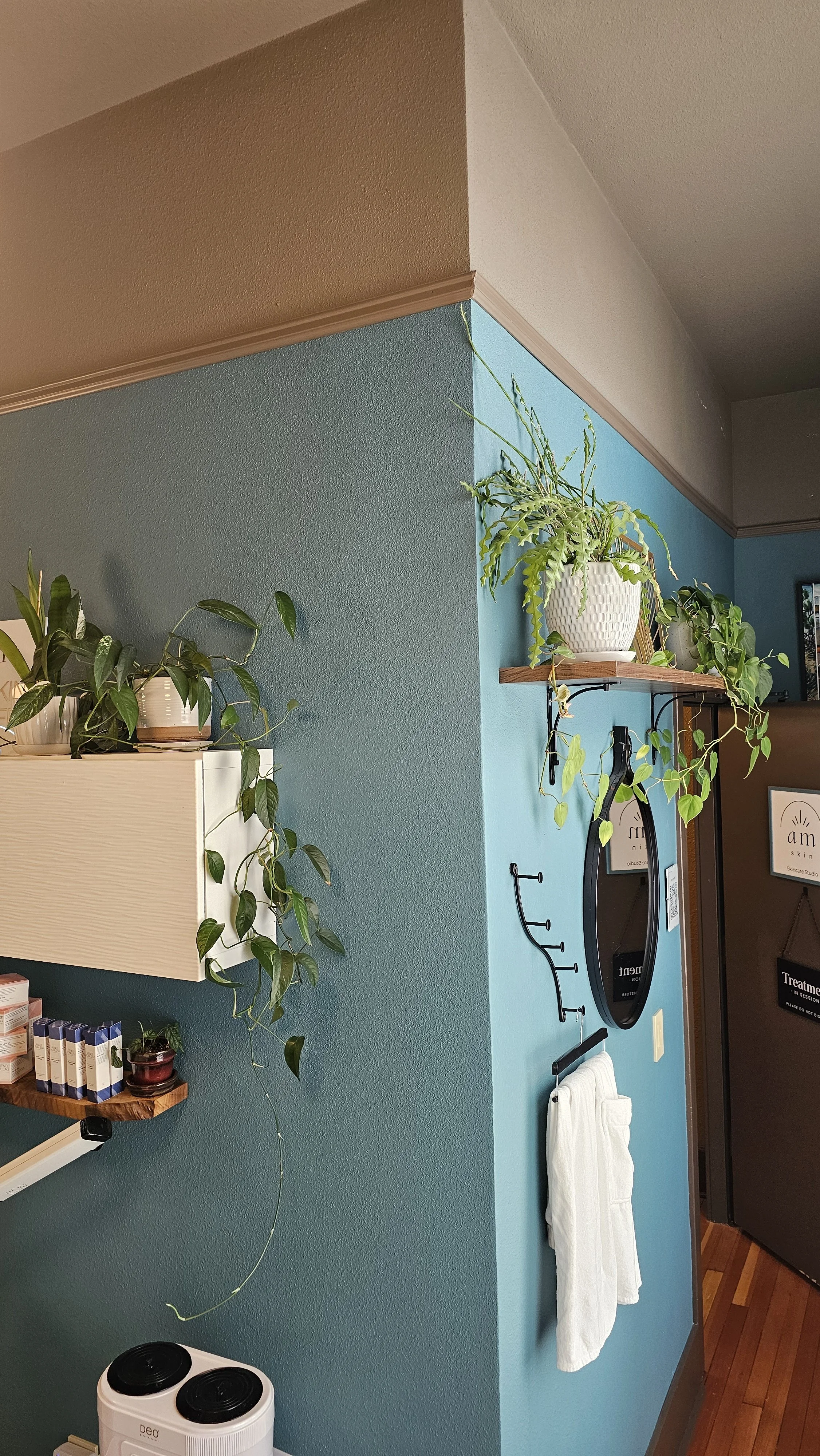 Indoor scene with teal walls decorated with houseplants on a floating shelf and a wall-mounted mirror. There is a white towel hanging on a hook below the mirror, and part of a white cabinet and a small shelf with skincare products are visible. The co