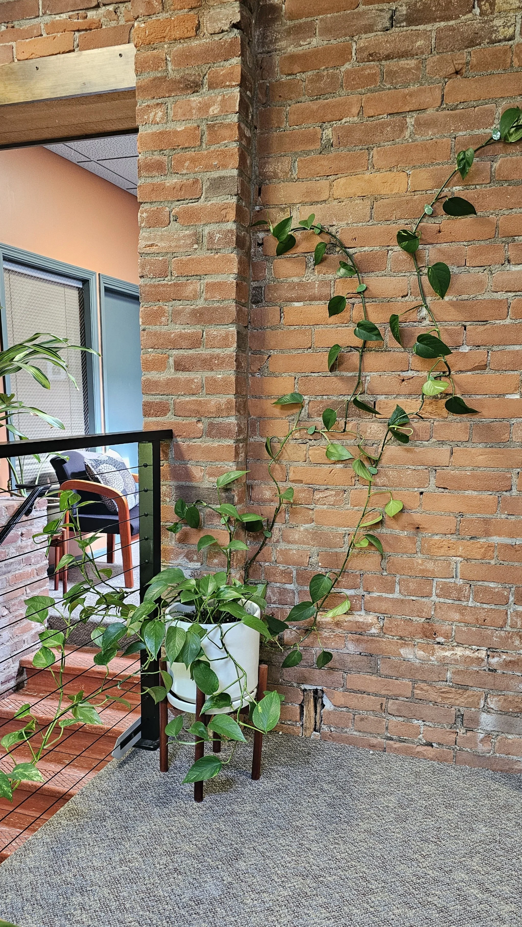 Indoor office space with exposed brick wall, potted plant with trailing vines, gray carpet, and a small wooden side table. Visible part of a black chair and a railing in the background.