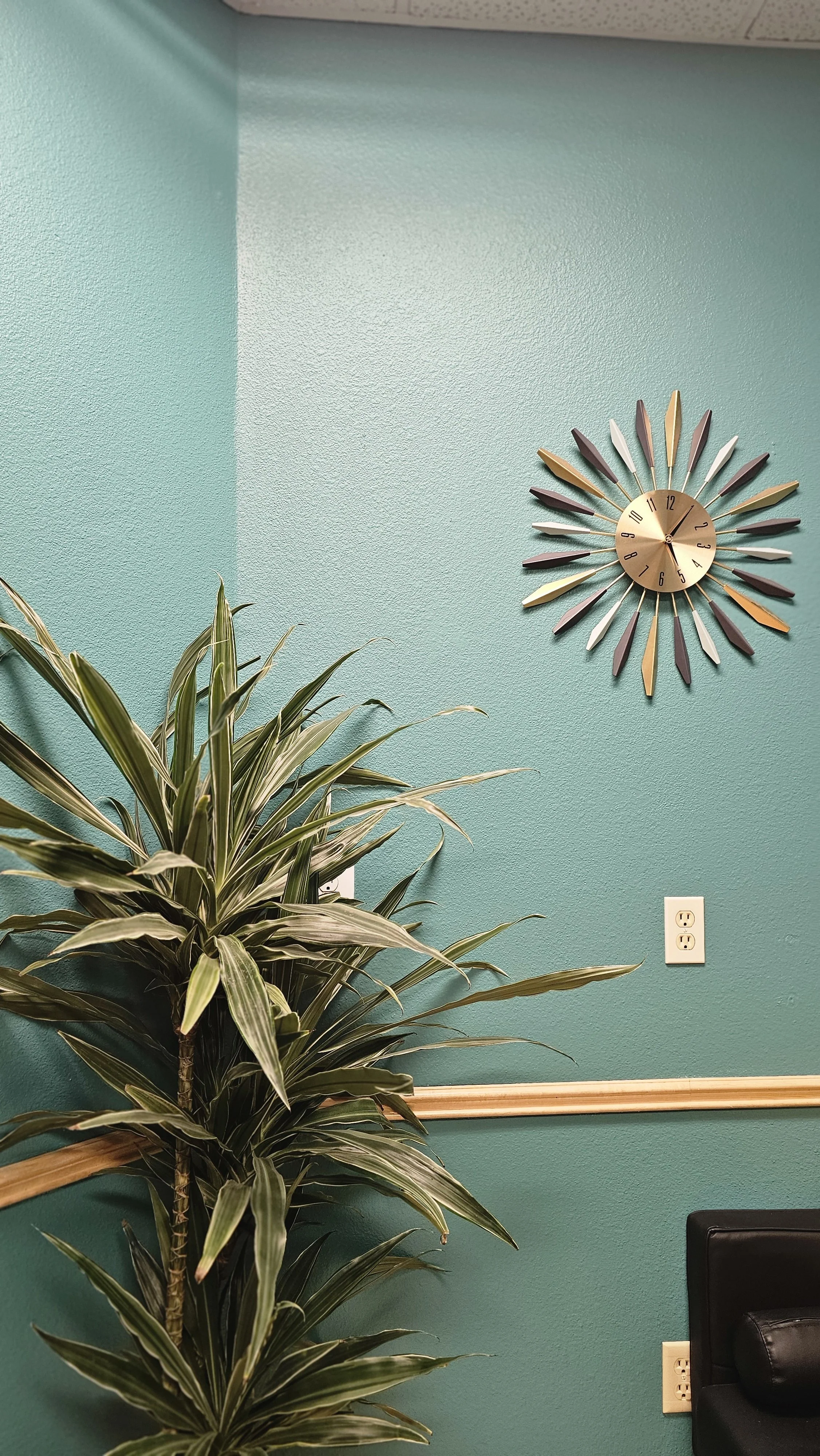Interior of a room with a green wall, featuring a decorative wall clock and natural light. There's a large green leafy plant in the foreground and visible electrical outlets.