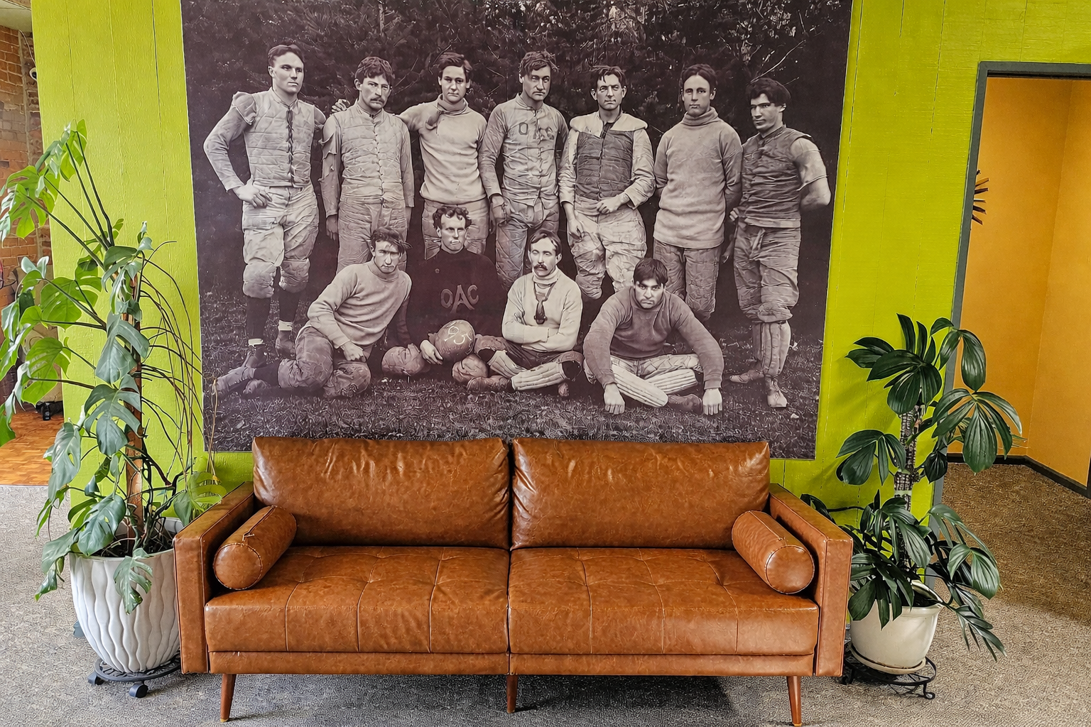A brown leather sofa in front of a large black and white vintage photo of a group of men posed outdoors, flanked by two green potted plants on either side. The wall behind the photo is lime green.