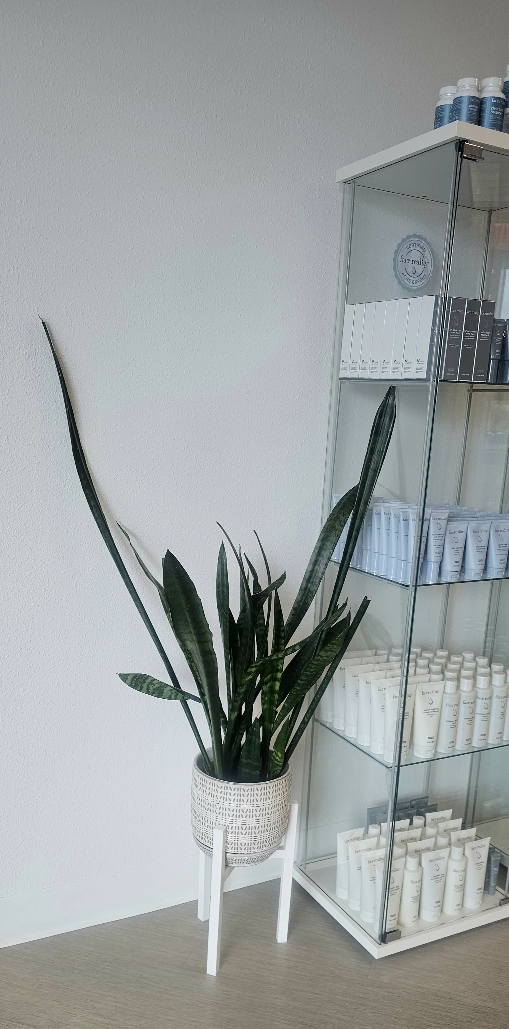 A potted plant with long green leaves next to a glass display case filled with skincare products on shelves.