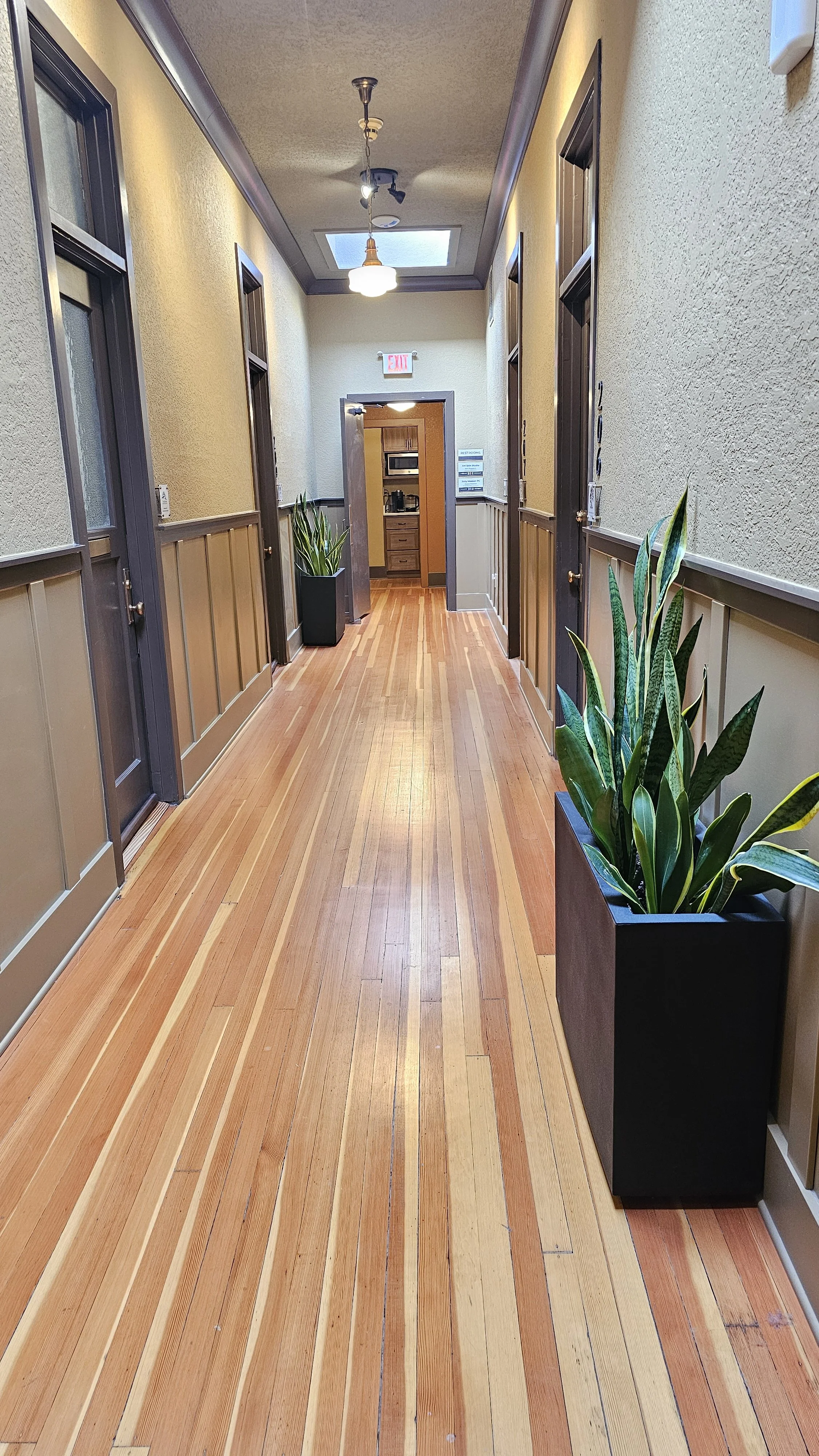 Empty hallway in a building with wooden floors, beige walls with dark brown trim, potted plants on either side, doors on both sides, and a ceiling light fixture with a skylight at the end.