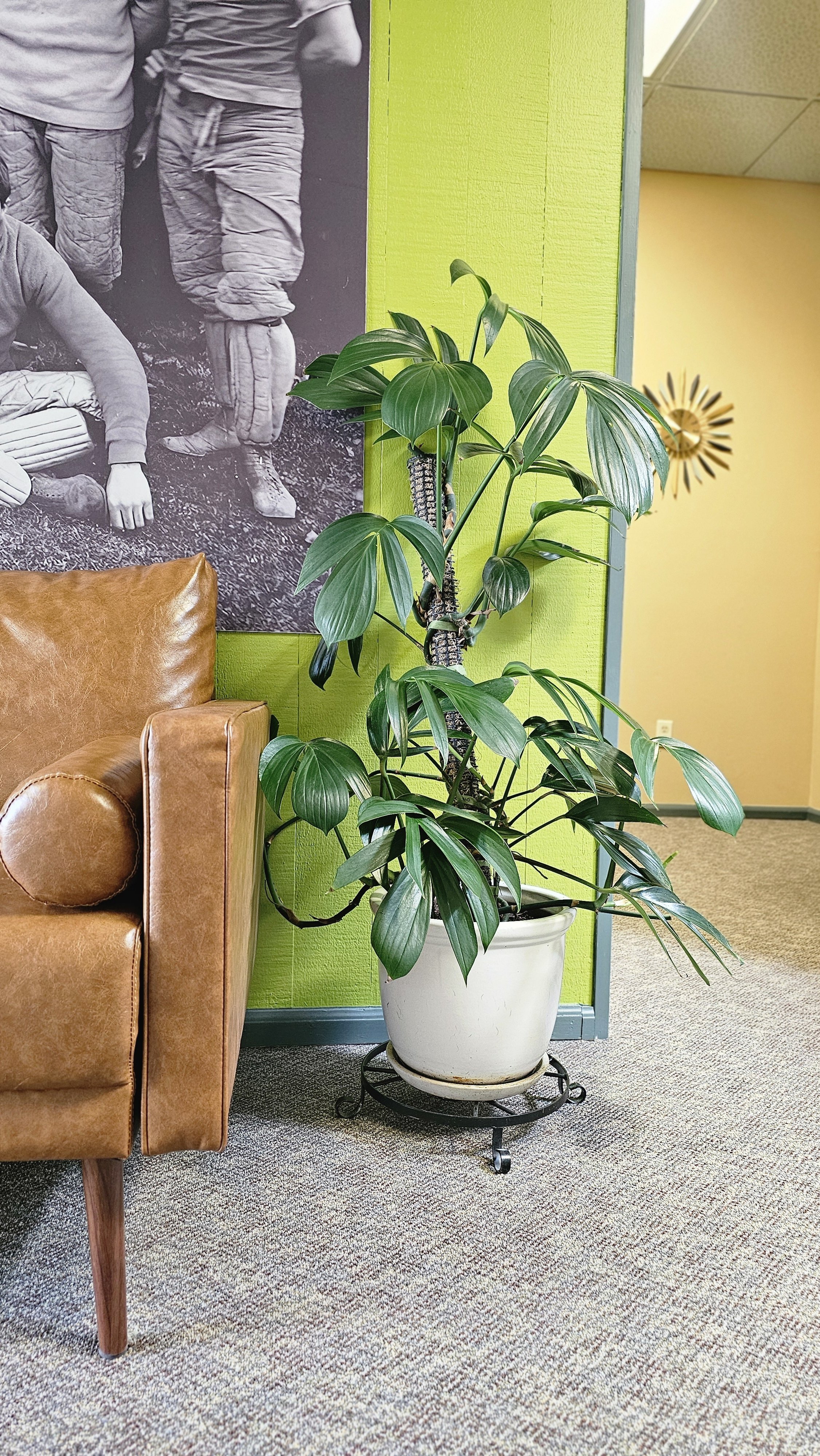 Indoor office space with a brown leather armchair, a large green potted plant on a decorative stand, a colorful wall with a black and white photograph, and a sunburst wall clock.
