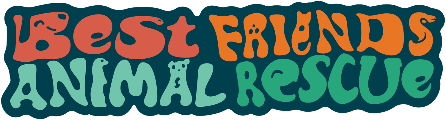 Best Friends Animal Rescue