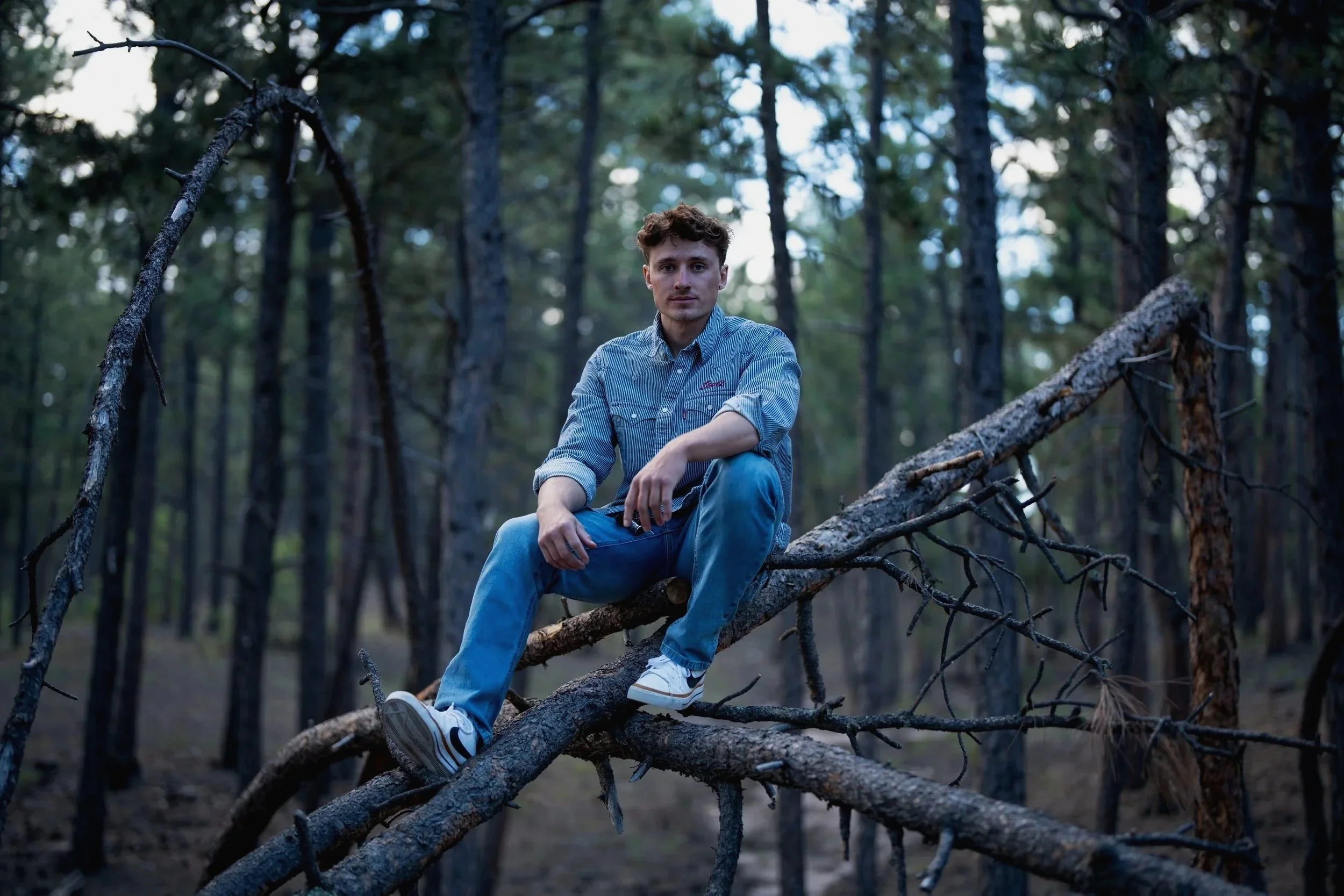 Young man sitting on a fallen tree in a dense forest with tall trees and green foliage.