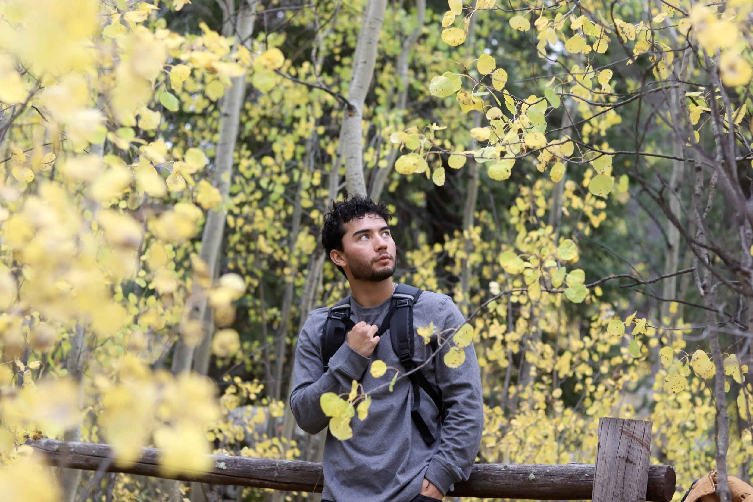 A young man with curly dark hair and a beard stands in a forest with yellow autumn leaves, wearing a gray jacket and black backpack, looking to the side.
