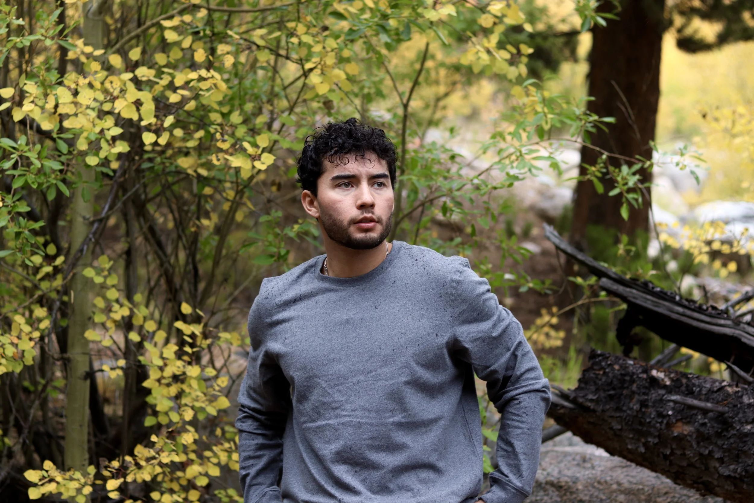 A young man with dark, curly hair and a beard in a gray long-sleeve shirt standing in a wooded area with yellow and green leaves.